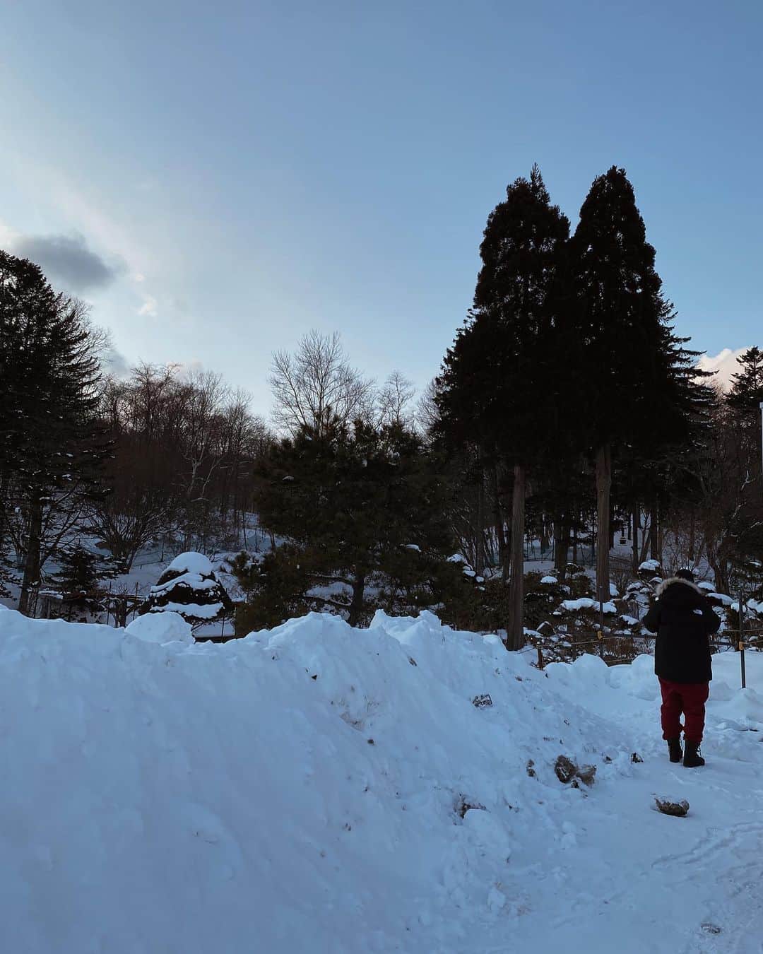 三方美穂さんのインスタグラム写真 - (三方美穂Instagram)「#北海道 ⛄️ 立ち寄ったファミマで 積もっている雪にテンションが上がりすぎてたのか、現地の方に雪は初めてですか。と声をかけられた。笑 思い返すとちょっと恥ずかしいけど🫣 あんなふわふわの雪は初めてな気が⛄️ 車が来ないところで寝転んでみたり、心も雪の上を歩くのがいつもの道と違う感覚みたいで不思議そうにテクテク歩いておりました👏 #⛄️ #雪景色 #雪が #ふわふわ #家族旅行  #雪国」2月3日 16時20分 - mihomikata