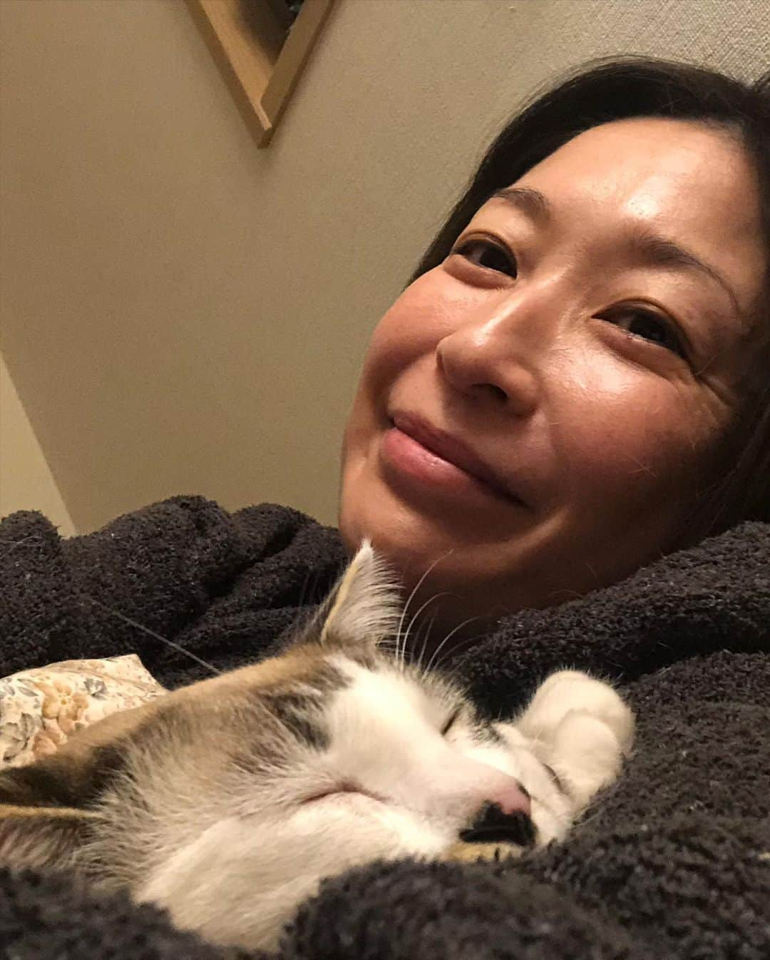 小野真弓さんのインスタグラム写真 - (小野真弓Instagram)「こんにちは〜  ナナちゃんのべったりんこがー 止まらにゃい🥺❤️  どこに居てもー 抱っこちてにゃーーー🐯 一緒にねんねするにゃーー🐯 おかーさん！おかーさん！おかーさん！！！ と、現れるナナちゃま🥺  おかげで おかーさんは 直ぐ寝転んでしまうにゃ🥺  やる事が全然進まないけどー ゆっくりしにゃさい というメッセージという事で😂  ナナちゃんのせいにして〜 なるべくのんびり 意識してのんびり 過ごしています😴✨  今日は節分なんですね👹 恵方巻き 食べたい。。🤤 食べてもどうせ味がしないんだろうな、、😂　 食べたい気持ちがあるだけ 元気な証拠ですにゃ😆  #チワワ#ハナちゃん #チワマル#ハルくん #雑種猫兄妹#アオくん#ナナちゃん #お泊まり猫#ちりんくん #犬と猫のいる暮らし#犬猫日記 #病み上がりかーさん #臭覚障害 #味覚障害」2月3日 16時33分 - hanaharuaroi