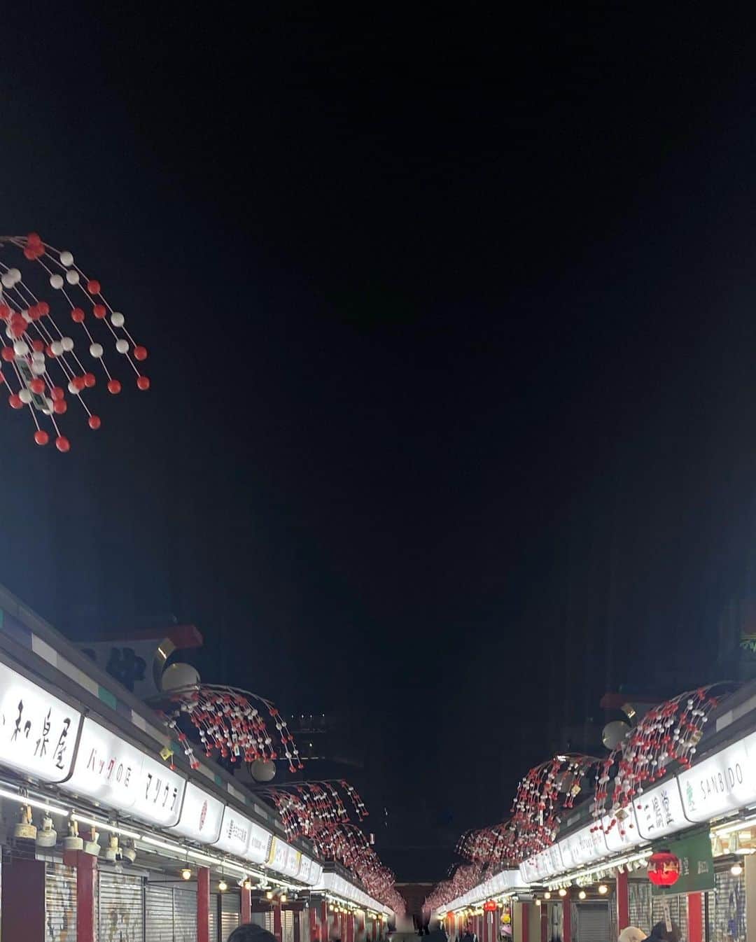 夏目璃乃さんのインスタグラム写真 - (夏目璃乃Instagram)「⛩🏮  気分転換‪‪ ‪‪.*･ﾟ   ちゃんと浅草行ったの初めてだた‪‪☺︎‬」2月3日 19時26分 - natsume_rino