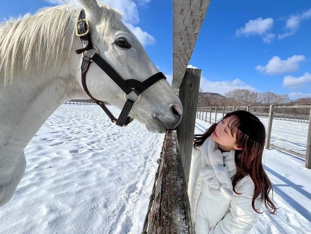 森香澄さんのインスタグラム写真 - (森香澄Instagram)「. ゴールドシップ🐴🤍 北海道ロケに行ってきました！ 詳細はまたお伝えしますね。」2月4日 20時01分 - mori_kasumi_