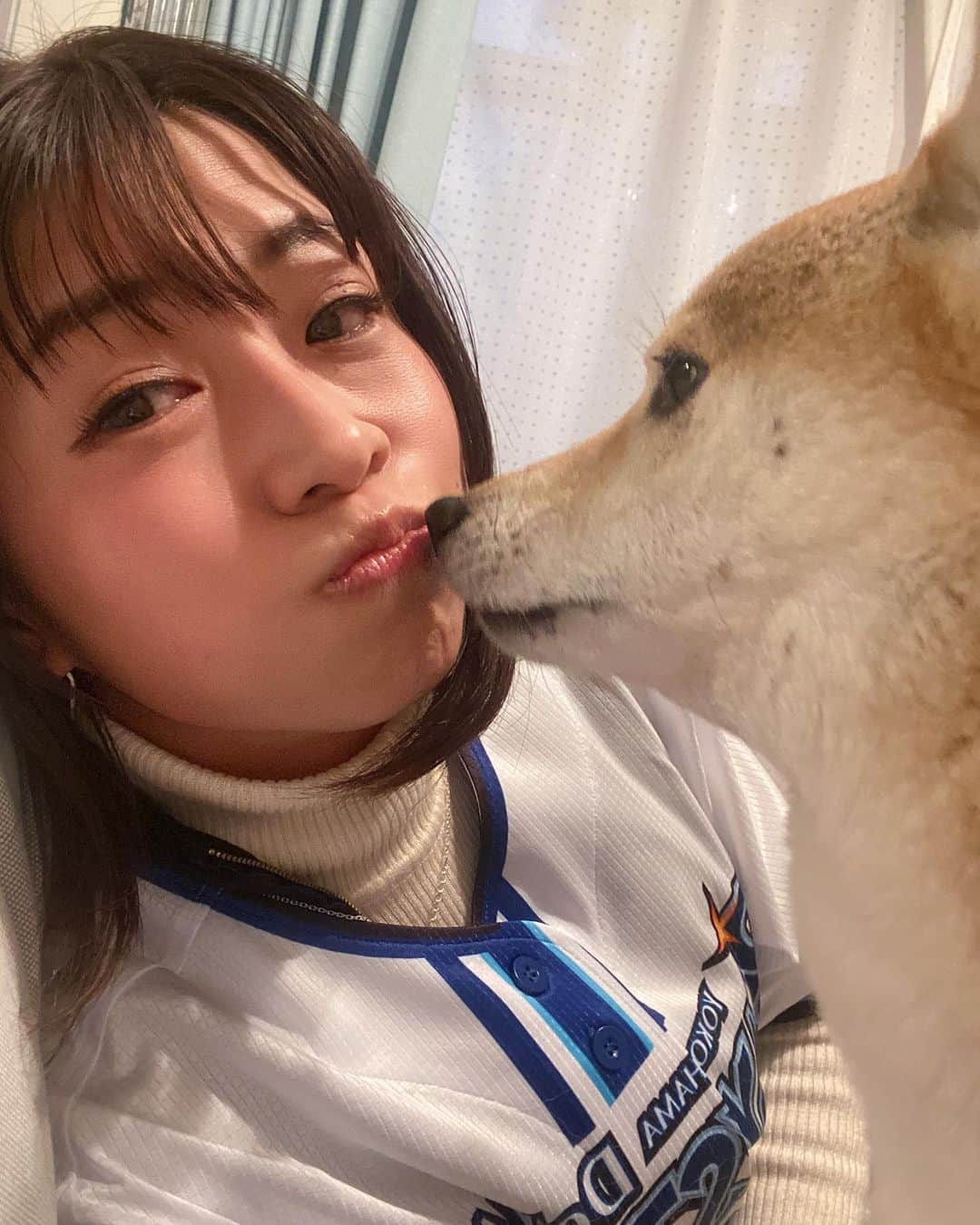 範田紗々さんのインスタグラム写真 - (範田紗々Instagram)「#日本酒の会 #幸せ #犬好きな人と繋がりたい」2月5日 2時55分 - handa_sasa