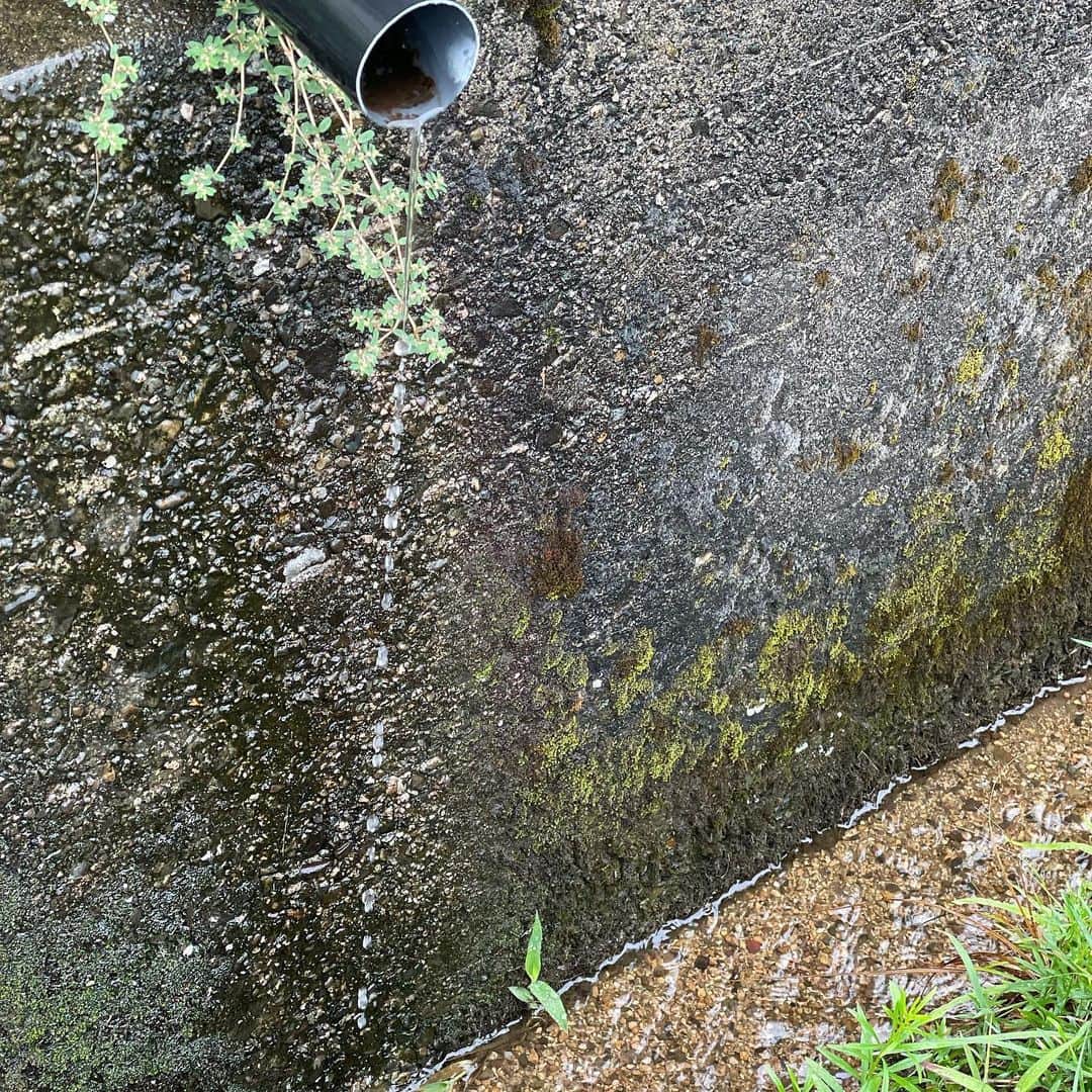 辺見えみりさんのインスタグラム写真 - (辺見えみりInstagram)「フィトテラピー ✖️サイエンス  『mizuka』の化粧品に使われているお水は丹後の　@yasakaturu さんの地下水を使っています。 天橋立から車で酒造さんへ…  私の祖父、祖母と母の故郷「京都」 祖父が生まれ育ったのは「天橋立」です。 思い出がたくさんあるこの場所のお水を使えて、全て縁で繋がった感じがしました。 いいお水が使えることは、化粧品を作るときにとても大切なことです。  リピートしてくださっている方が多いなか、初めてお使いになる方にも @mizuka_cosme の化粧品で、心も肌もみずみずしくいていただけたらいいなと…心から願っています✨  #mizuka #mizuka_cosme  #ミズカ #ミズカコスメ #エイジングケア」2月6日 8時46分 - emiri_hemmi