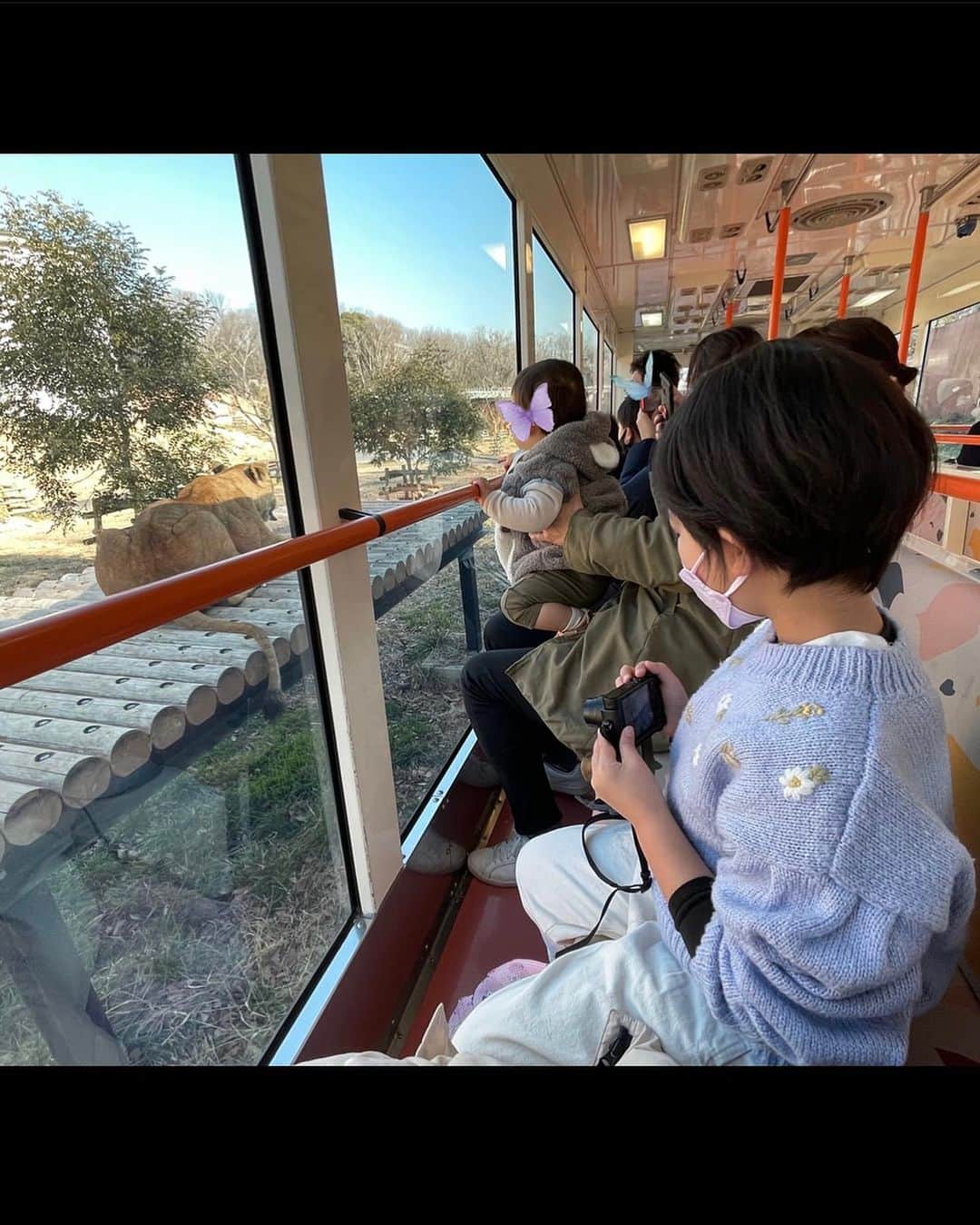 井上和香さんのインスタグラム写真 - (井上和香Instagram)「. おはよう  この間のお休みは、久しぶりに多摩動物公園へ 娘が大好きなライオンバスに乗ってきました🦁 何回乗っても、目の前で見るライオンの迫力に子供以上に大人も大興奮しちゃう😅💦 最後の写真は凄い近くまできたから写真撮ったけど、近過ぎたせいかぬいぐるみに見えてくる🤣🤣🤣  多摩動物公園は山登ってる気分になる。笑 それもいいね！😄💦  #親子デート #多摩動物公園 #ライオンバス #いつ行っても楽しい」2月6日 9時08分 - inoue_waka