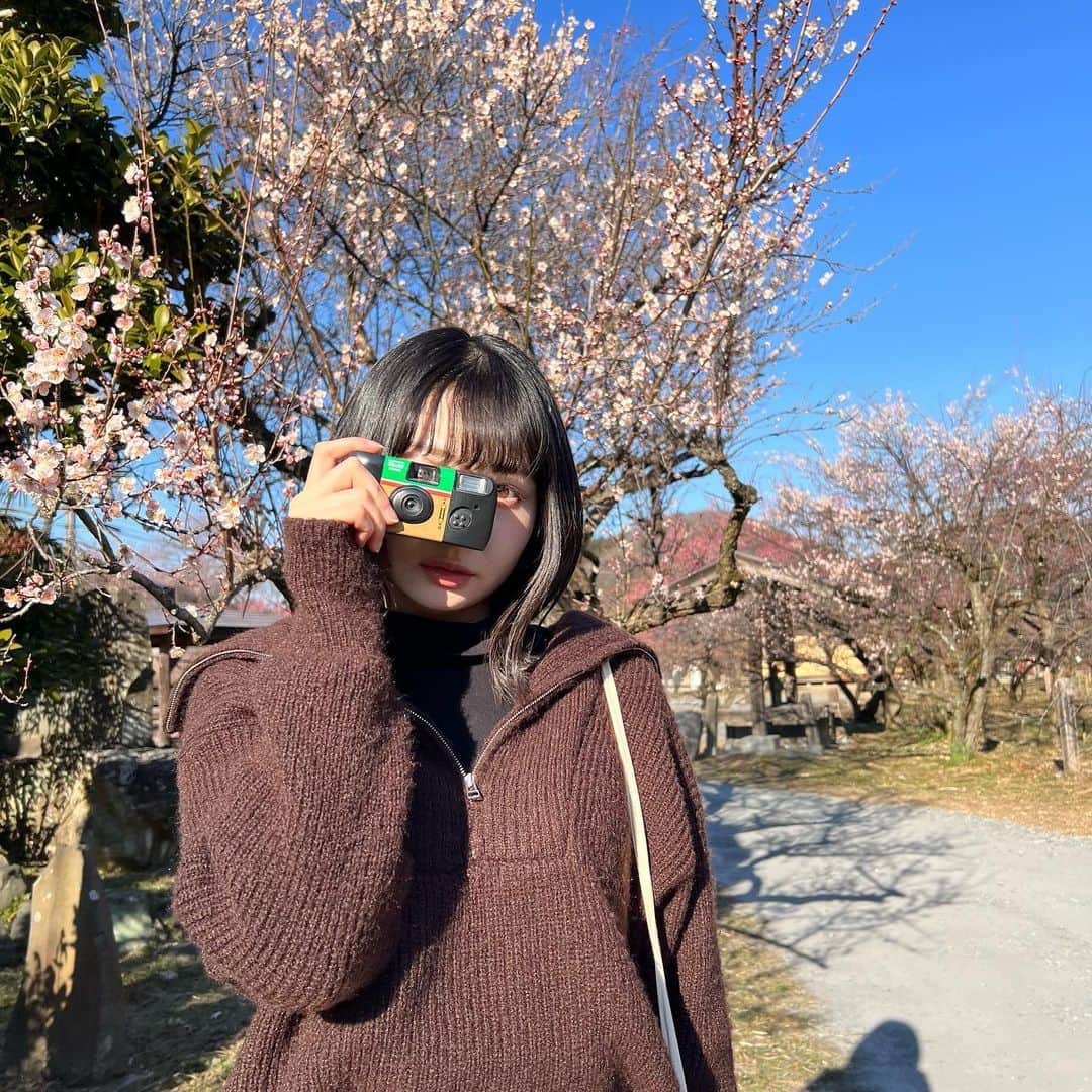 小室ゆらさんのインスタグラム写真 - (小室ゆらInstagram)「. ⁡ ⁡ ドライブがてら梅を見に.. まだちらほらしか咲いてなかったけど いい香りに癒されました🫶🏻 ⁡ インスタントカメラ片手にお散歩も なかなかいいものだ~！ ⁡ 2枚目は福寿草︎✿ 冷たい地面を割って出てきた可愛いお花に なんだか勇気づけられた＾＾ ⁡ ⁡ .」2月6日 17時55分 - komuro_yura_official