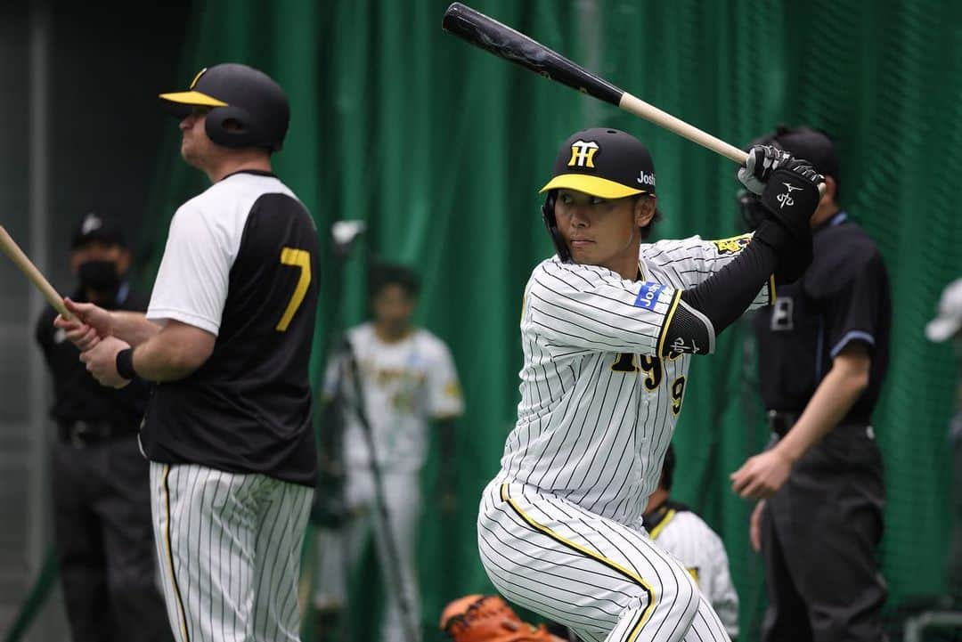 阪神タイガースさんのインスタグラム写真 - (阪神タイガースInstagram)「2月6日、宜野座村野球場での春季キャンプの様子・野手編です！ #髙山俊 選手 #近本光司 選手 #シェルドンノイジー 選手 #原口文仁 選手 #坂本誠志郎 選手 #梅野隆太郎 選手 #渡邉諒 選手 #板山祐太郎 選手 #榮枝裕貴 選手 #植田海 選手 #小幡竜平 選手 #阪神タイガース  #宜野座キャンプ #宜野座村  #ARE ★キャンプ中継は#虎テレ で！」2月6日 19時12分 - hanshintigers_official