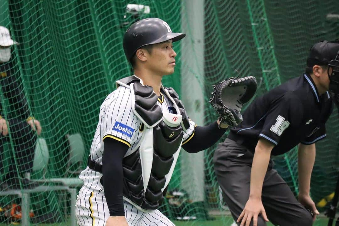 阪神タイガースさんのインスタグラム写真 - (阪神タイガースInstagram)「2月6日、宜野座村野球場での春季キャンプの様子・野手編です！ #髙山俊 選手 #近本光司 選手 #シェルドンノイジー 選手 #原口文仁 選手 #坂本誠志郎 選手 #梅野隆太郎 選手 #渡邉諒 選手 #板山祐太郎 選手 #榮枝裕貴 選手 #植田海 選手 #小幡竜平 選手 #阪神タイガース  #宜野座キャンプ #宜野座村  #ARE ★キャンプ中継は#虎テレ で！」2月6日 19時12分 - hanshintigers_official