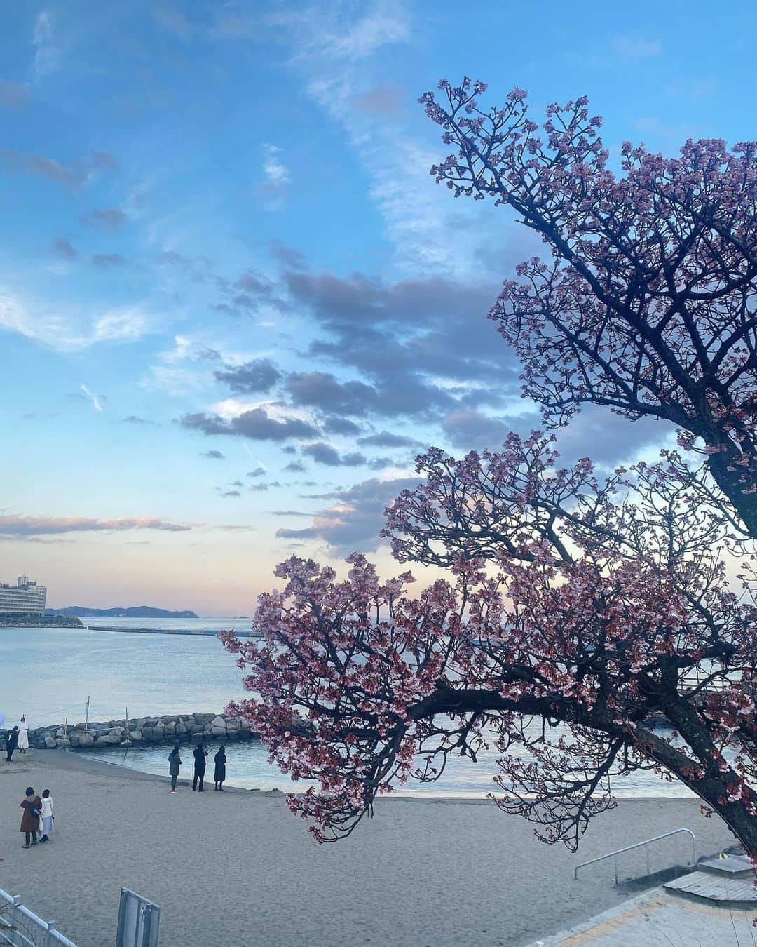 道岡桃子さんのインスタグラム写真 - (道岡桃子Instagram)「🌊  疲れたので、海を見にきました✨  海育ちなので、安心します😮‍💨  どこの海でしょう？  #海 #海辺 #水 #桜  #夕焼け #夕焼け空」2月6日 19時41分 - momoko_ana