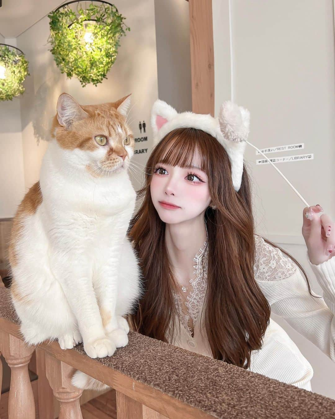 あやちゃんさんのインスタグラム写真 - (あやちゃんInstagram)「久しぶりの猫カフェ🐈♥︎ 癒されたー🥺 1時間あっという間だった🤍  #猫カフェ #猫カフェmocha #猫カフェモカ #猫カフェmocha原宿店 #猫 #ねこのいる生活 #ねこすたぐらむ #原宿カフェ #表参道カフェ #明治神宮前カフェ  #白コーデ #カフェ巡り #マンチカン」2月6日 20時33分 - aya.you.love.r