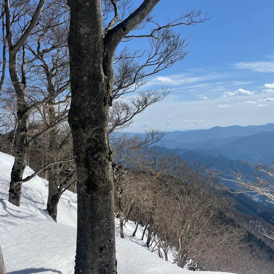 あだち理絵子さんのインスタグラム写真 - (あだち理絵子Instagram)「#八丁平　から10分で #三峰山山頂 標高　1235m  のぼったどーーー。  残念ながら、霧氷はちょっとだけっ。  雪の上に溶けて落ちた後がたくさんありました。  よし、せっかくきたから  #平倉峰　も寄っていこう！  細いアップダウンの尾根沿い ほんとはここが #霧氷ロード　らしいっ。  全然　霧氷はなかったけれど、 景色が良くて 人もぐっと減って #雪山　って感じが良かったー。  頂上から30分ほど、で  到着っ😊」2月7日 17時36分 - adachi.rieko