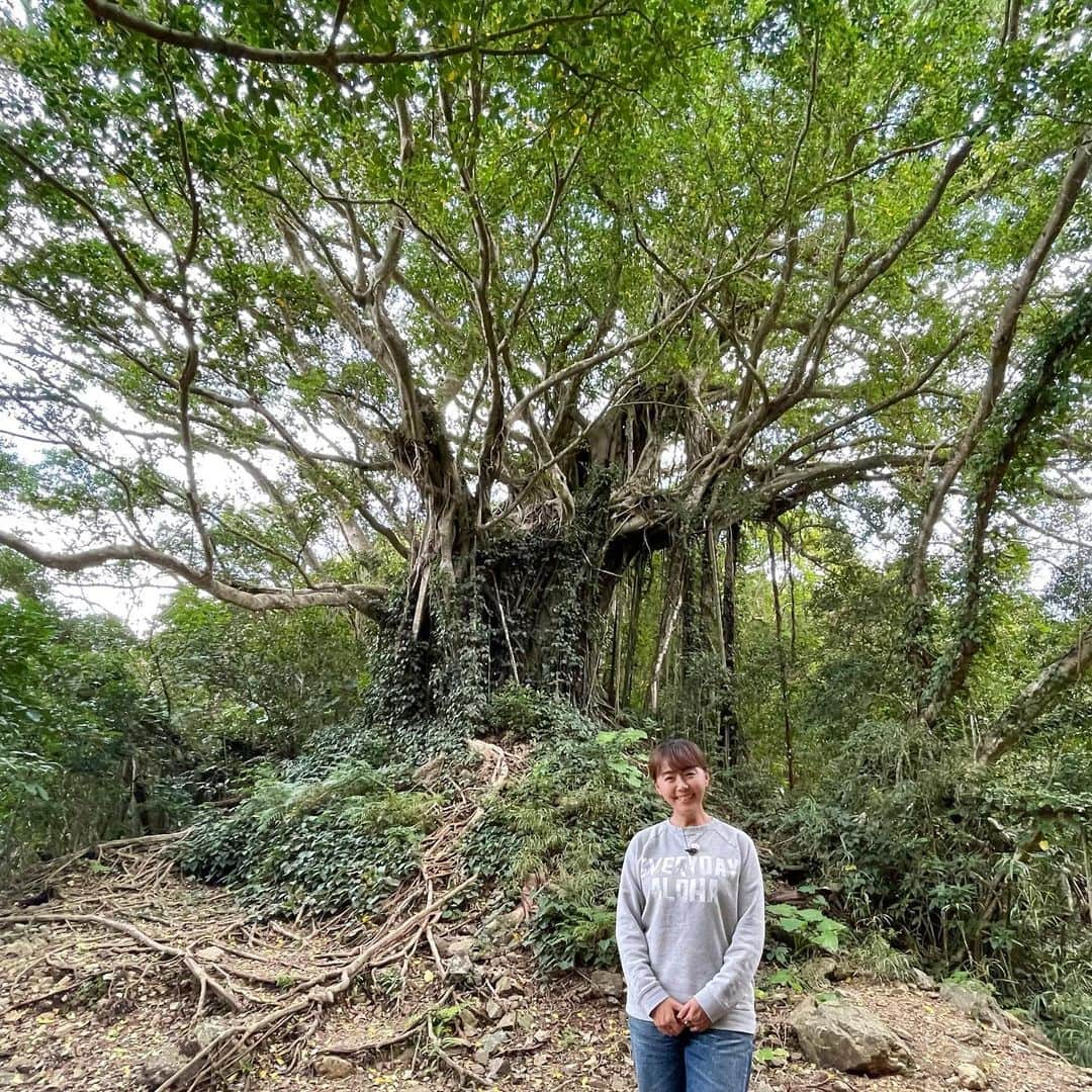 田中律子さんのインスタグラム写真 - (田中律子Instagram)「マネージャーからのお知らせ📺  TOKAIケーブルネットワーク 『田中律子のあなたと旅するSUP』 2月は奄美大島 加計呂麻島編です🏝🏄‍♀️ ゲストはこの方！IMALUちゃん。 @imalu_0919   神が宿っていると言われてる武名のガジュマル、 諸鈍デイゴ並木を歩いて、諸鈍かなめちゃん(食堂)で 島の美味しいソウルフードやたこ焼きを頂いて🤤 佐知克海岸(さちゆきかいがん)でSUPと シュノーケル🤿を堪能。  お天気もロケに合わせて太陽が出てくれたり、 空港までの帰り道はお天気が崩れるも、虹が出たり…🌈 なんだか神秘的な時間でした🌴✨  サップガイドは、 斎藤大輔さん(カケロマアイランドリトリート) @bubukosuke  ご協力ありがとうございました🙏  2月いっぱい下記チャンネルでご覧いただけます。 【111ch】 月曜　10:00、22:00 金曜　18:30 土曜　7:30、13:30 日曜　7:30 【121ch】 土曜　9:00 日曜　20:00  【放送局】 TOKAIケーブルネットワーク トコちゃんねる静岡 エルシーブイ 倉敷ケーブルテレビ 厚木伊勢原ケーブルネットワーク  いちはらコミュニティネットワークテレビ 東京ベイネットワーク テレビ津山 仙台CATV イッツ・コミュニケーションズ 沖縄ケーブルテレビ スターキャット 御前崎ケーブルテレビ ひまわりネットワーク ケーブル4K チャンネル700  #tokaiケーブルネットワーク #田中律子のあなたと旅するsup #田中律子 #imalu ちゃん #catv#ドローン#4k#sup #奄美大島#加計呂麻島 #amami#kakeroma#japan」2月7日 17時57分 - ri2kotanaka