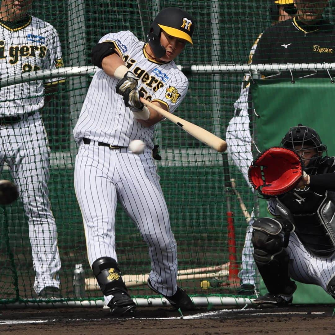 阪神タイガースさんのインスタグラム写真 - (阪神タイガースInstagram)「2月7日、具志川球場でのファーム春季キャンプの様子です！ #遠藤成 選手 #小野寺暖 選手 #井坪陽生 選手 #前川右京 選手 #髙濱祐仁 選手 #及川雅貴 選手 #茨木秀俊 選手 #望月惇志 選手 #佐藤蓮 選手 #門別啓人 選手 #福原忍 コーチ #阪神タイガース  #具志川キャンプ #うるま市  #ARE ★キャンプ中継は#虎テレ で！」2月7日 22時27分 - hanshintigers_official