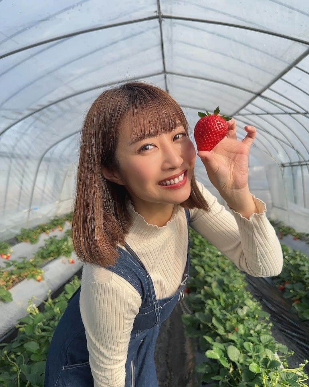 古川真奈美さんのインスタグラム写真 - (古川真奈美Instagram)「. . 今年もいちごを沢山狩るのだ🍓 ⁡ いちごって当たり外れめっちゃあるけど… 美味しいイチゴがほんっとに好き。 ⁡ 今回は、スカイベリー狩りです🥰 ⁡ ちなみに私のおすすめのいちごの品種は、 あきひめ、やよいひめです☺️ ⁡ けどやよい姫は本当あたりハズレ大きいから、気をつけて！ 美味しいやつはほんっっとに美味しい🤤✨ いちごに関しては博士並みにかなり詳しいです💁🏻‍♀️ ⁡ ⁡ ⁡ #いちご狩り #今年もこの季節がやってきた #instalike #instamood  #ootd #东京 #扎心了 #ow #맞팔 #instapic  #팔로우미 #instaphoto #instagravure #girl #glam #followme #インスタグラビア #グラビア #japanesegirl #selfies #gravure  #lookgoodfeelgood」2月7日 23時05分 - mana_0619