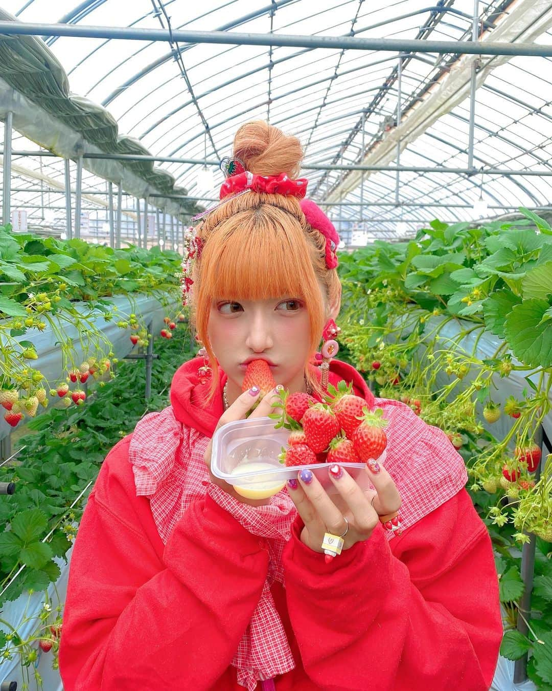 しなこさんのインスタグラム写真 - (しなこInstagram)「いちご狩り🍓🤍  この食べかけのいちごを帽子にする撮り方やってみたかったやつ:(´⊃ω⊂｀):  指輪やヘアクリップもいちご🧚‍♀️」2月8日 20時09分 - ssshinako