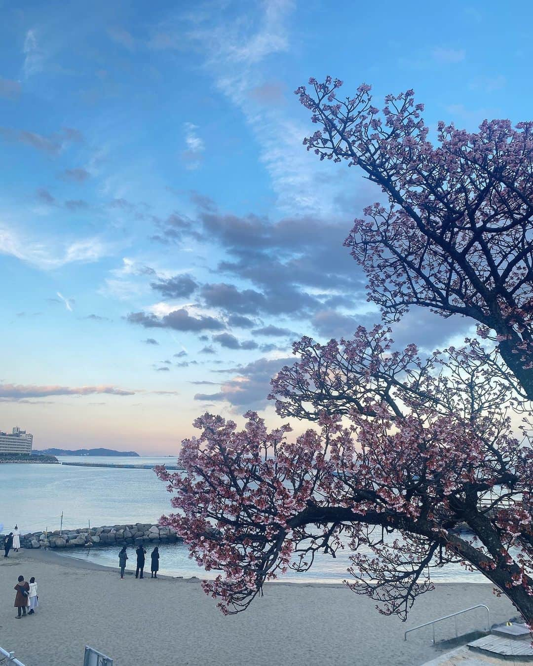 道岡桃子さんのインスタグラム写真 - (道岡桃子Instagram)「おしのび…  小旅行  熱海編　  ❤️❤️❤️  正解の方が多かったですね！  #旅行  #熱海  #熱海グルメ  #熱海旅行  #熱海サンビーチ  #熱海城  #熱海温泉  #商店街  #船  #観光  #温泉  #温泉旅行  #お寿司」2月9日 10時10分 - momoko_ana