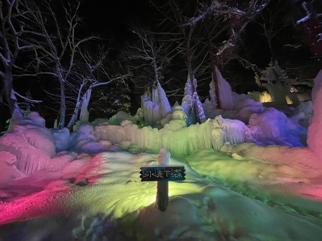 速水里彩さんのインスタグラム写真 - (速水里彩Instagram)「氷の世界❄️ 想像の何倍も綺麗でした🥹✨  #氷点下の森 #高山 #久しぶりのソリ #🛷」2月9日 15時29分 - hayami.risa