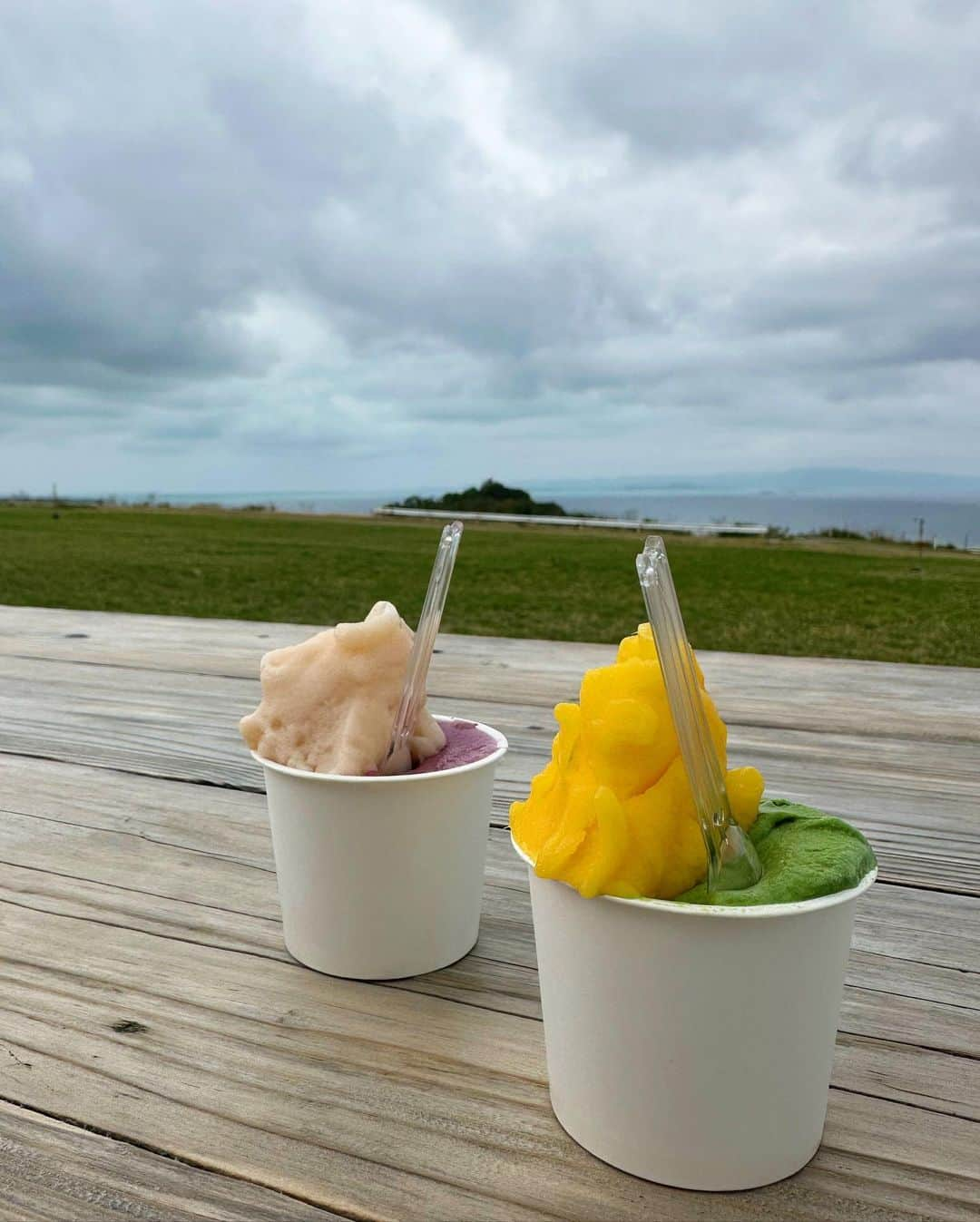 近藤夏子さんのインスタグラム写真 - (近藤夏子Instagram)「.   夏休み？冬休み？を使って 母と２人で南国へ行って来ました🌻 　  今回の目的はとにかくのんび〜りすること🐨 予定は特に決めず、朝のフィーリングで行くところを決めました。  初日はアイスを食べに行って そのままホテルでゆったり💛  ここのアイスが美味しすぎて 後日またリピート😍 アイスラブなものでして🫶🏻 　 　 投稿もゆっくりしていきたいと思います✨ 　 　 .」2月9日 18時45分 - kondokako0804