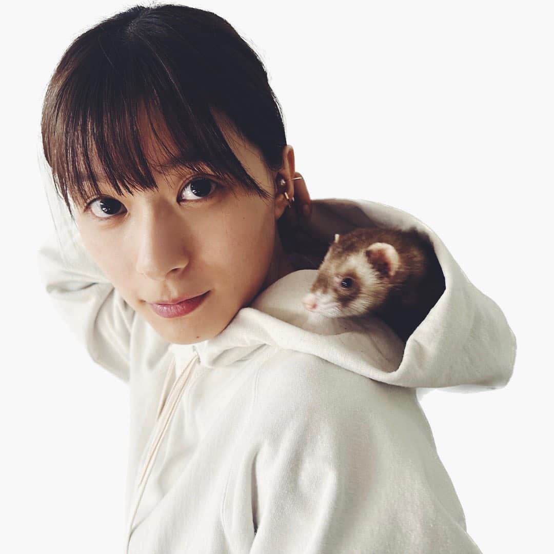 芳根京子さんのインスタグラム写真 - (芳根京子Instagram)「カンガルーの袋的なこと？  最後の写真は私が髪結んでる時。 それでも気にせずに入ってた。  かわええ。  #フェレット」2月9日 19時04分 - yoshinekyoko