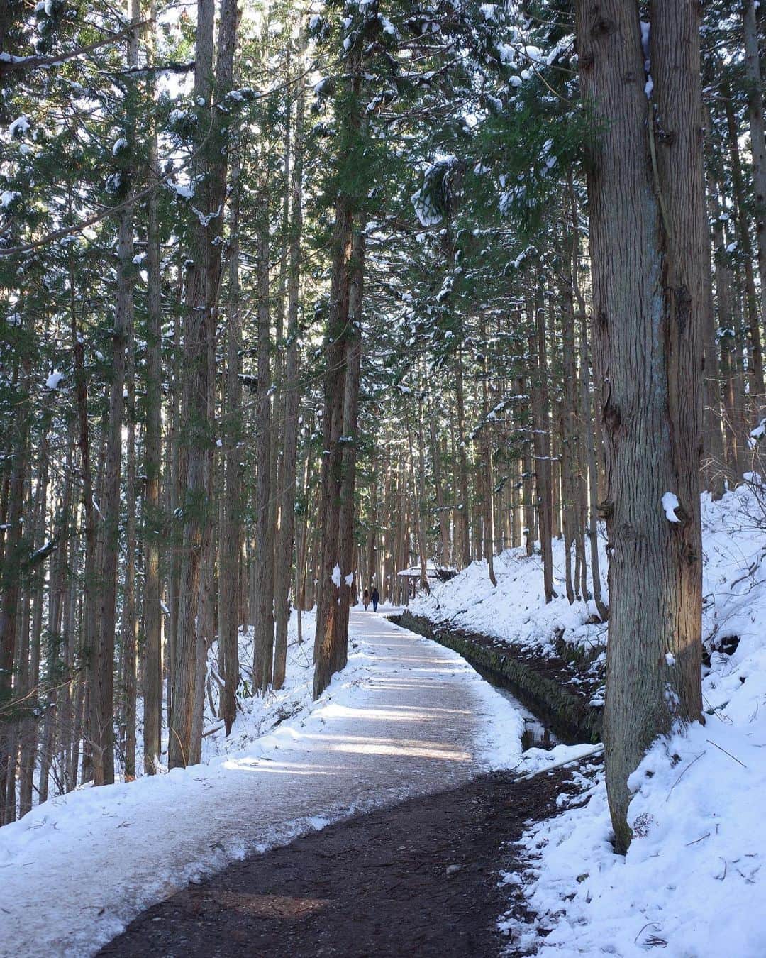 新井貴子さんのインスタグラム写真 - (新井貴子Instagram)「🌿☃️🪵🐛🌈  大自然の中に身を置くことで、余計な思考がリセットされて自分にとって必要なものがわかってくる気がする。 そしてまた、自分は自然に生かされているんだなと改めて感じました。  呼吸は大事🥱☺️🍃」2月9日 21時14分 - kikoarai