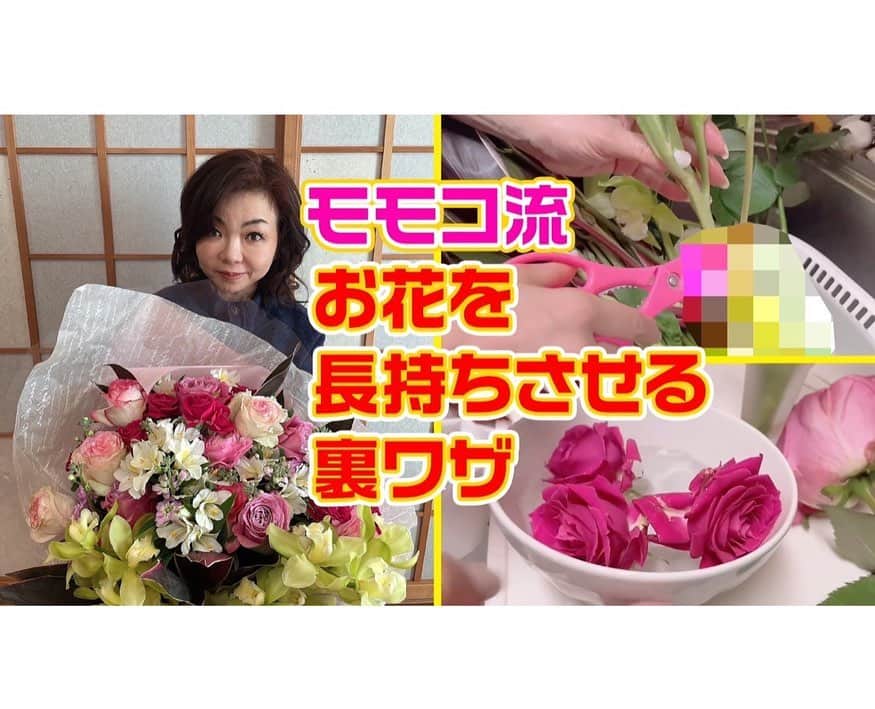 モモコさんのインスタグラム写真 - (モモコInstagram)「あさパラSのケータリングのドーナツ🍩 misdo meets toshi yoroizuka❗️ 流行り物を買ってきてくれます💕 いつもありがとう💕  昨日配信のYouTube『モモコ新聞』は、お花を長持ちさせる裏ワザをお届けしまーす💐 おまけ動画は、生田神社で豆まきをした様子です👹 見てくださいね〜💕 チャンネル登録もよろしくお願いします。  #ハイヒールモモコ #👠 #👠🍑 #CHANEL #シャネラー #グルメ #アメブロ  #YouTube #モモコ新聞 #お花 #花束 #お花のお手入れ #お花を長持ちさせる方法 #節分 #豆まき #生田神社 #ミスド #ミスタードーナツ #misdomeetstoshiyoroizuka #鎧塚俊彦 さん」2月10日 8時09分 - highheel_momoko