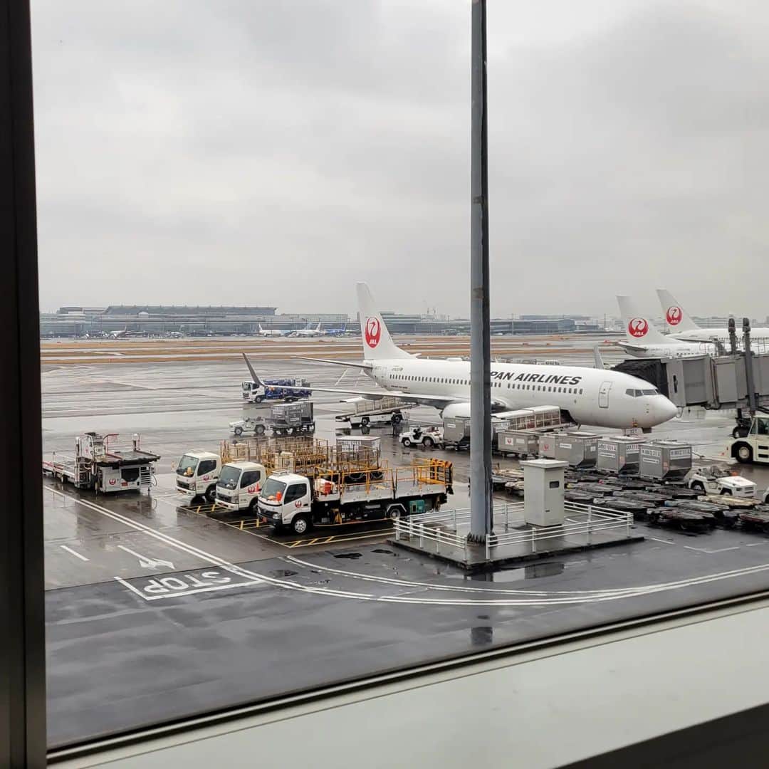 音無美紀子さんのインスタグラム写真 - (音無美紀子Instagram)「ああ、雪になっていなくて良かった。 空港は混んでるわね、やっぱり。 行ってきまーす😍」2月10日 12時24分 - mikikootonashi