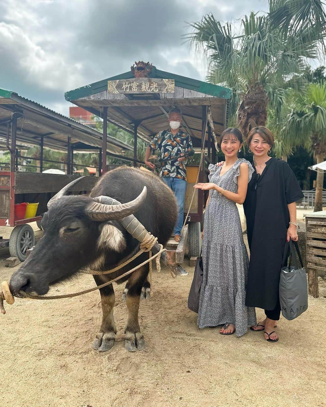 近藤夏子さんのインスタグラム写真 - (近藤夏子Instagram)「.   竹富島にも行きました🤍  とにかく海が綺麗。 しばらくぼーっと砂浜に座り 波の音を聞いていたらなんだか涙が出て来て🥹 癒されたなぁ〜  憧れだった水牛に乗って観光をしたり 親近感のある名前の浜辺があったり👀 　 　 大満喫の竹富島でした🤍 　 　 . #竹富島」2月10日 17時53分 - kondokako0804