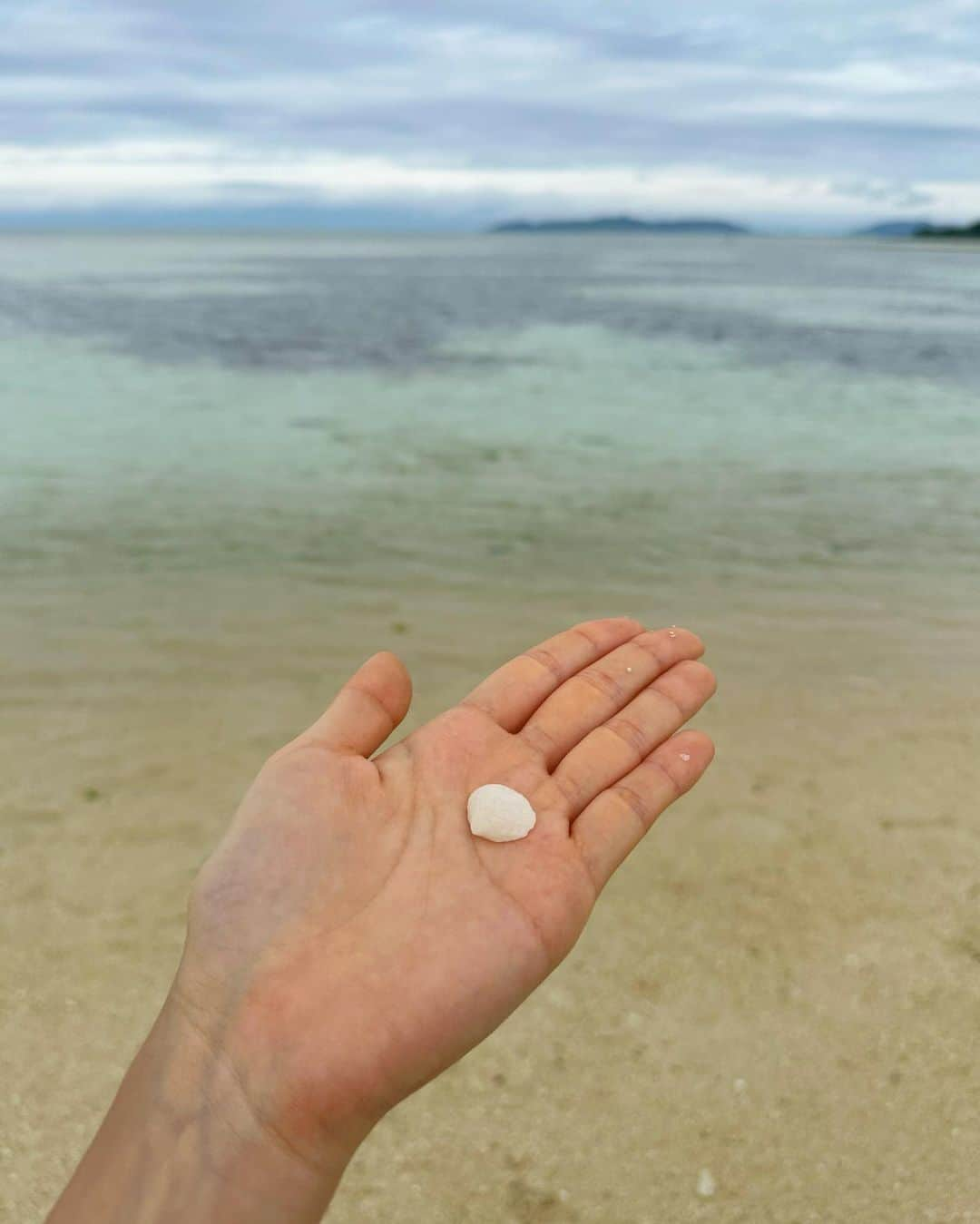 近藤夏子さんのインスタグラム写真 - (近藤夏子Instagram)「.   竹富島にも行きました🤍  とにかく海が綺麗。 しばらくぼーっと砂浜に座り 波の音を聞いていたらなんだか涙が出て来て🥹 癒されたなぁ〜  憧れだった水牛に乗って観光をしたり 親近感のある名前の浜辺があったり👀 　 　 大満喫の竹富島でした🤍 　 　 . #竹富島」2月10日 17時53分 - kondokako0804