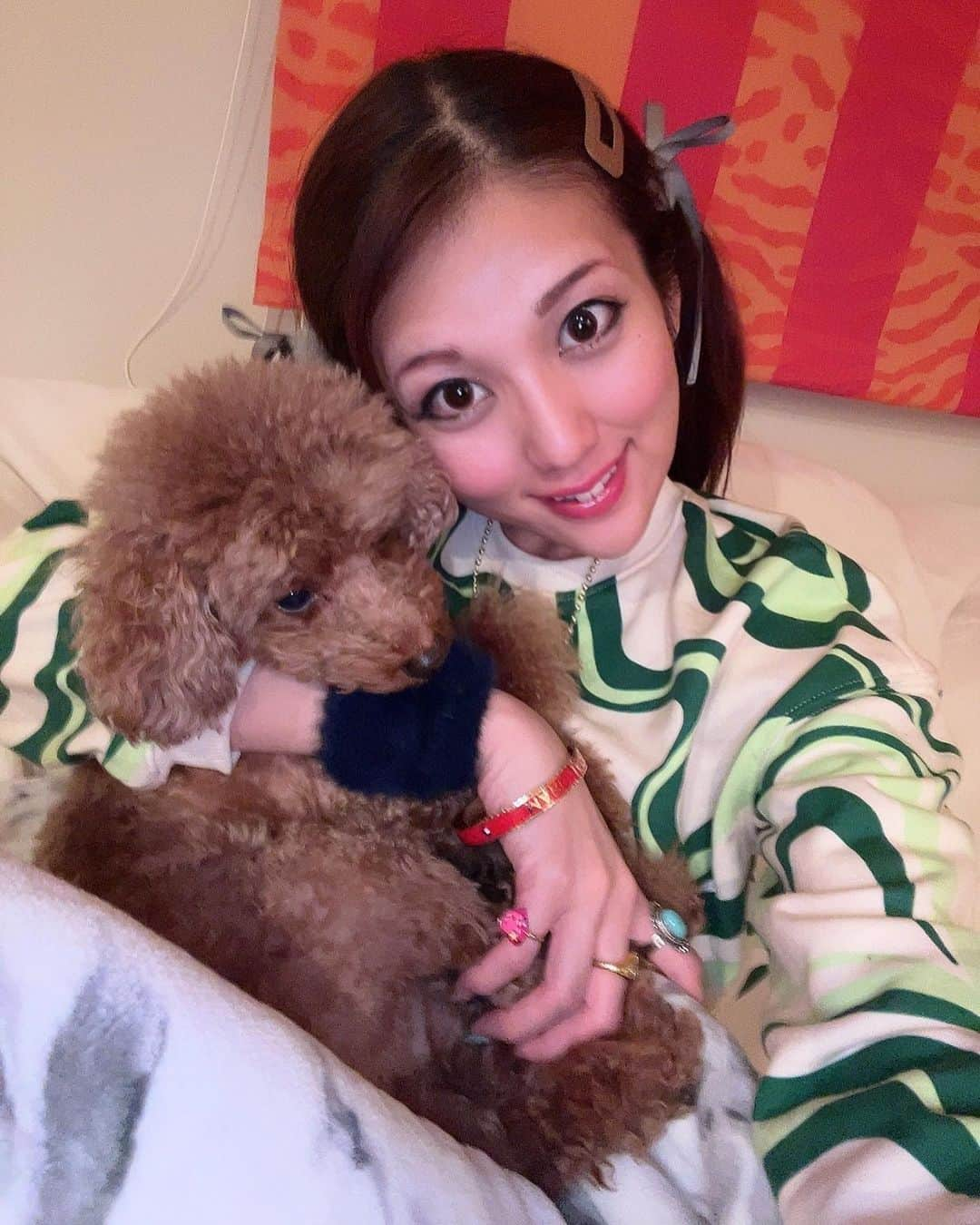 神谷麻美さんのインスタグラム写真 - (神谷麻美Instagram)「#King 君らぶ〜💖❤️💖🐩🫶🌈❤️💖❤️✨   #インスタ の #アーカイブ から、  #グラビア 写真いっぱい復活させたよ💖👼🏻💖🍀🌈💖✨  やっぱ #撮影会 楽しい❣️し、グラビア楽しい❣️って思った💖🦄💖🌈💖✨」2月11日 9時49分 - asamice428