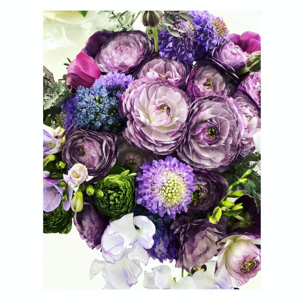 望月理恵さんのインスタグラム写真 - (望月理恵Instagram)「紫のラナンキュラス 花言葉は幸福  幾重にも重なる花びら 見てて飽きないんですよね〜。  お誕生日にたくさんの お花、頂きました。 本当にありがとうございました！ 今、お家がお花の香りでいっぱいです☺️ #花生活#花好き #ラナンキュラス#紫」2月11日 11時54分 - mochiee28
