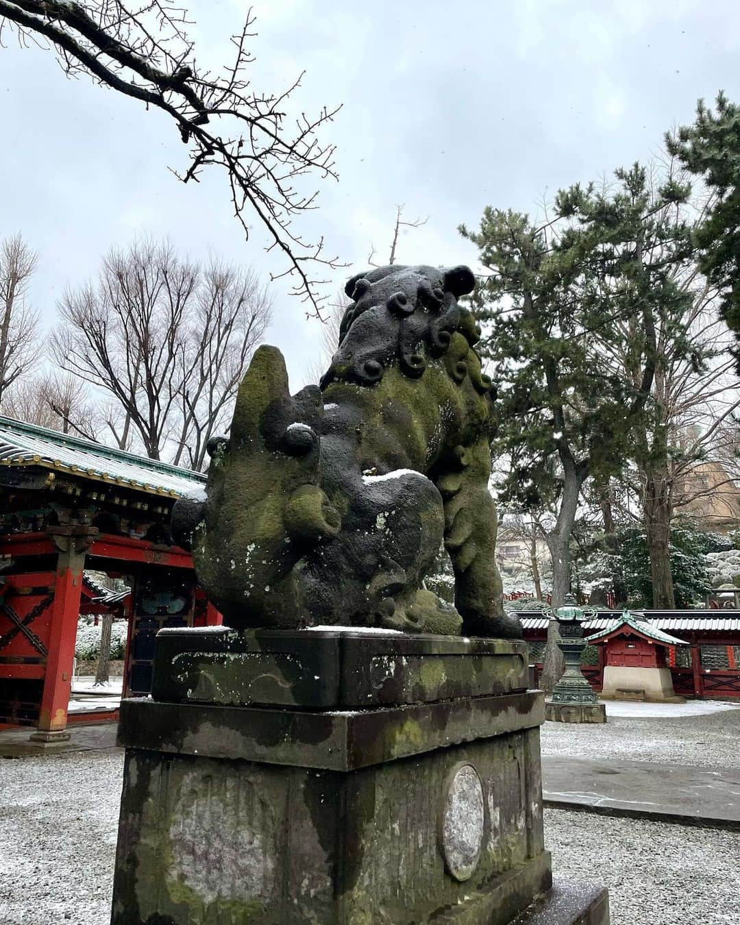 千葉真由佳さんのインスタグラム写真 - (千葉真由佳Instagram)「【寒かった金曜日☃️】  雪が降って 気温も低かった昨日の東京。  帰りに文京区根津に足を伸ばして 雪景色の神社へ...⛩  受験シーズンということもあって 学生さんの姿もチラホラ😳  私は高校受験のとき 行きの道が凍っていて 思い切り転んでしまい 両足を擦りむいて 保健室で手当を受けてから 受験したことがあります🥲  ほぼ痛みとの戦いでしたが 逆に集中できて 良かったのかなんなのか😅 無事合格だったので 今では良い思い出です。  学生さんの目標が 叶えばいいなぁと思いながら お参りしてきました〜✨  今度は天気のいい日に😄  それでは良い週末をお過ごしください✨  ●2/10（金）🤍 ブラウス　@nolleys_official スカート　@laisse_passe  #TBS#THETIME' #TBSスパークル#キャスター #フリーアナウンサー #アナウンサー #アナウンサー衣装 #千葉真由佳 #冬コーデ#コーデ記録 #152cmコーデ#152cm #ショートウルフ #東京散歩 #根津#根津神社#⛩ #神社巡り」2月11日 12時18分 - mayuka.chiba