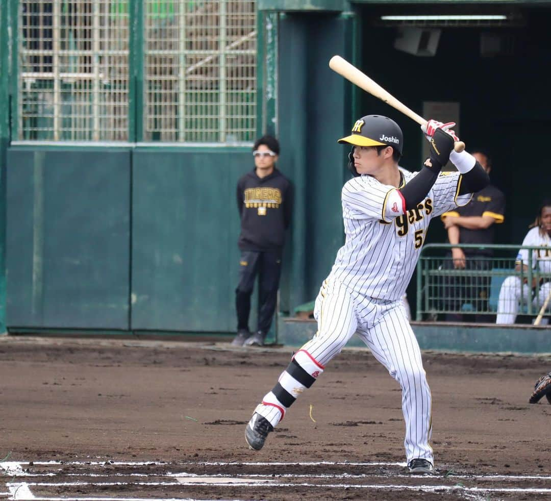 阪神タイガースさんのインスタグラム写真 - (阪神タイガースInstagram)「2月11日、宜野座球場での1軍・ファーム合同紅白戦1試合目の様子です！ #梅野隆太郎 選手 #佐藤輝明 選手 #村上頌樹 選手 #中野拓夢 選手 #二保旭 選手 #木浪聖也 選手 #桐敷拓馬 選手 #鳥谷敬 臨時コーチ #和田豊 ファーム監督 #岡田彰布 監督 #平田勝男 ヘッド #阪神タイガース  #宜野座キャンプ #具志川キャンプ  #ARE ★キャンプ中継は#虎テレ で！」2月11日 13時43分 - hanshintigers_official