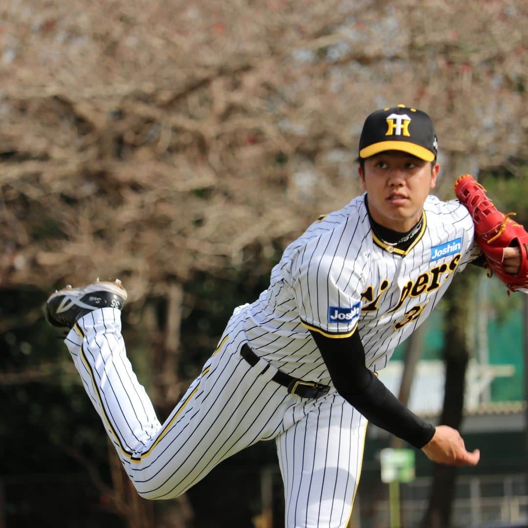 阪神タイガースさんのインスタグラム写真 - (阪神タイガースInstagram)「2月11日、宜野座村野球場での春季キャンプの様子・投手編です！ #ジェレミービーズリー 選手 #馬場皐輔 選手  #二保旭 選手 #岩崎優 選手 #西勇輝 選手 #島本浩也 選手 #石井大智 選手 #才木浩人 選手 #西純矢 選手 #伊藤将司 選手 #岩貞祐太 選手 #阪神タイガース #宜野座キャンプ #宜野座村 #ARE ★キャンプ中継は#虎テレ で！」2月11日 18時02分 - hanshintigers_official