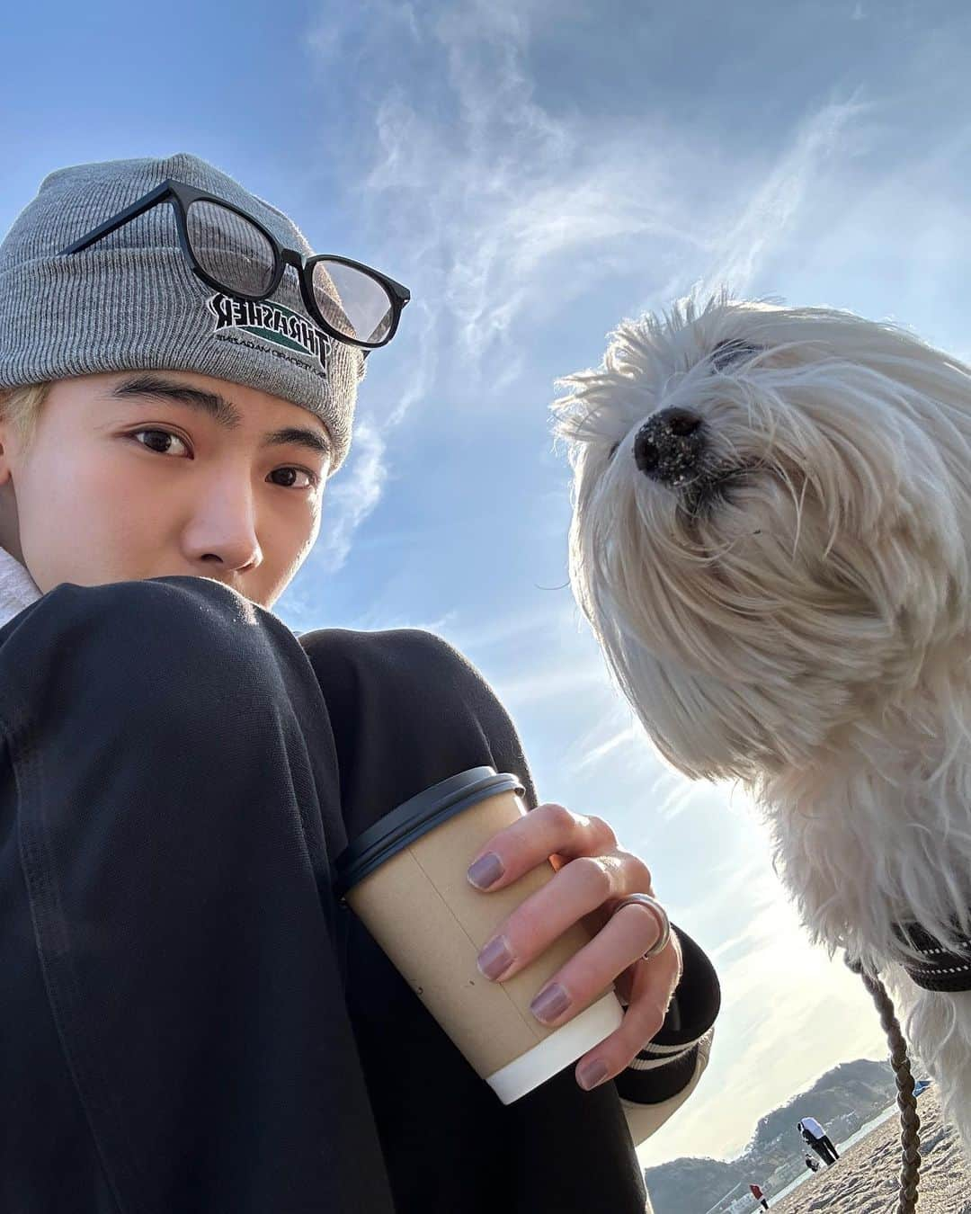 NOA（ノア）さんのインスタグラム写真 - (NOA（ノア）Instagram)「初海ラッフィー I took Laffy to the beach for the first time🐾 4枚目逞しい後ろ姿😂」2月11日 20時20分 - n_o_a_3_