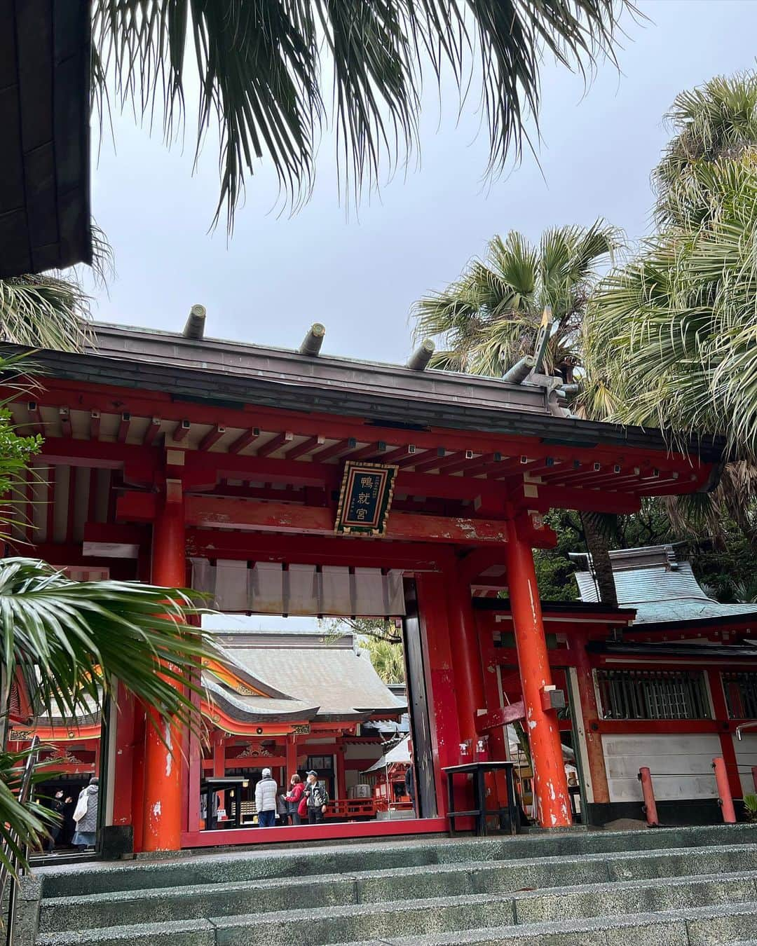 サブさんのインスタグラム写真 - (サブInstagram)「凄く凄く素敵な場所だった😆✨  #青島神社⛩🌴   雨でゴルフが無くなって、観光に行けて思い出が増えました♡  #宮崎 #宮崎観光 #ゴルフの無い休日  #青島神社 #巨人キャンプ  #in宮崎 #宮崎県 #宮崎県観光  #貝塚 #ジャングル #観光 #参拝 #参拝日和  #笑顔 #エンジョイ #enjoy #enjoylife  #japan #japantravel  #miyazaki」2月11日 21時42分 - sabu_golf