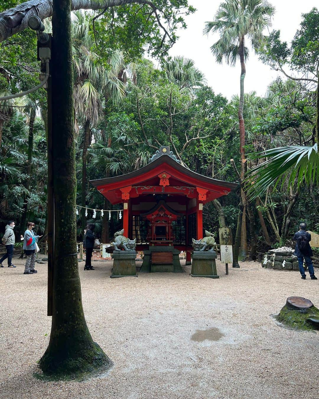 サブさんのインスタグラム写真 - (サブInstagram)「凄く凄く素敵な場所だった😆✨  #青島神社⛩🌴   雨でゴルフが無くなって、観光に行けて思い出が増えました♡  #宮崎 #宮崎観光 #ゴルフの無い休日  #青島神社 #巨人キャンプ  #in宮崎 #宮崎県 #宮崎県観光  #貝塚 #ジャングル #観光 #参拝 #参拝日和  #笑顔 #エンジョイ #enjoy #enjoylife  #japan #japantravel  #miyazaki」2月11日 21時42分 - sabu_golf