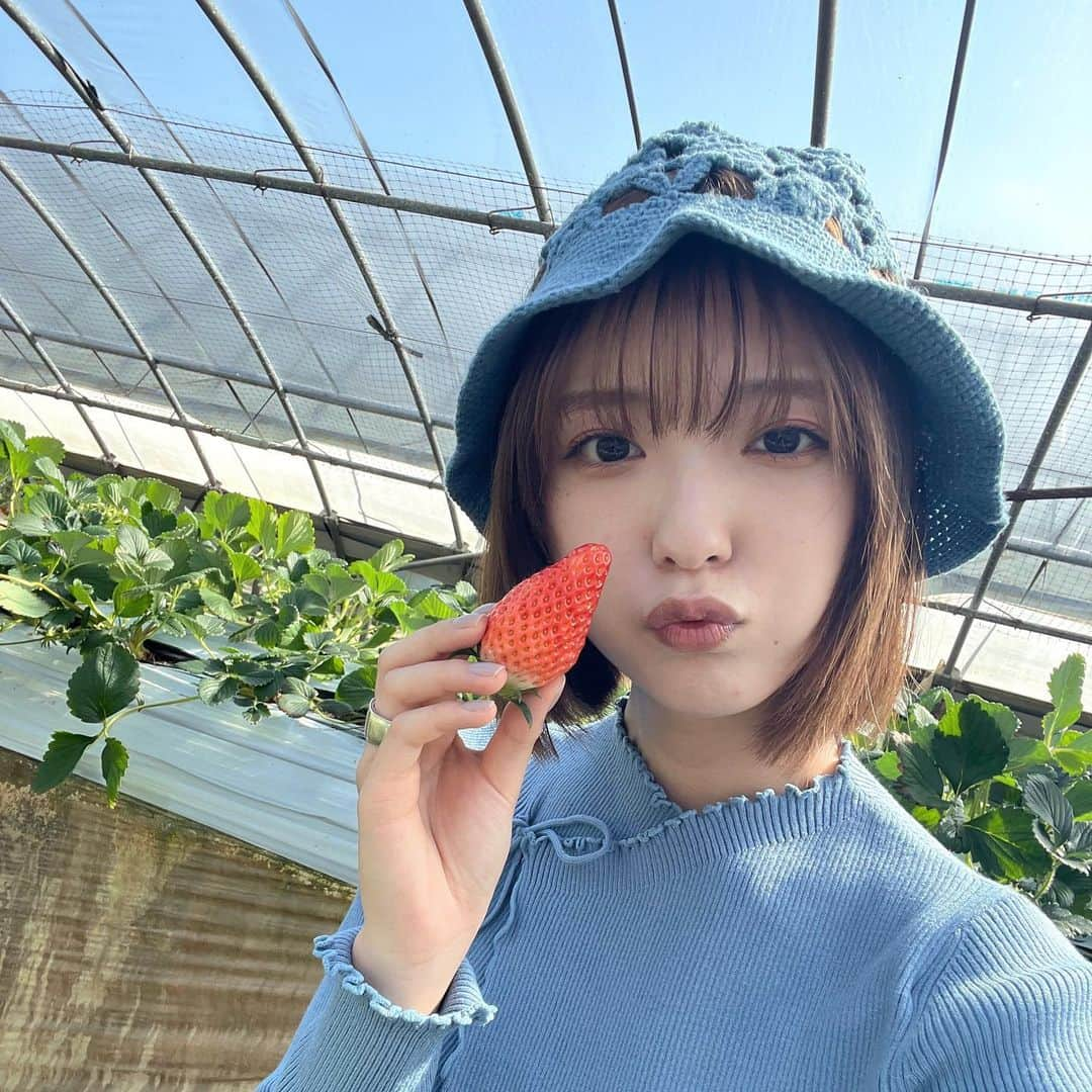 工藤美桜さんのインスタグラム写真 - (工藤美桜Instagram)「🍓🍓🍓」2月12日 18時58分 - mmio_kudo