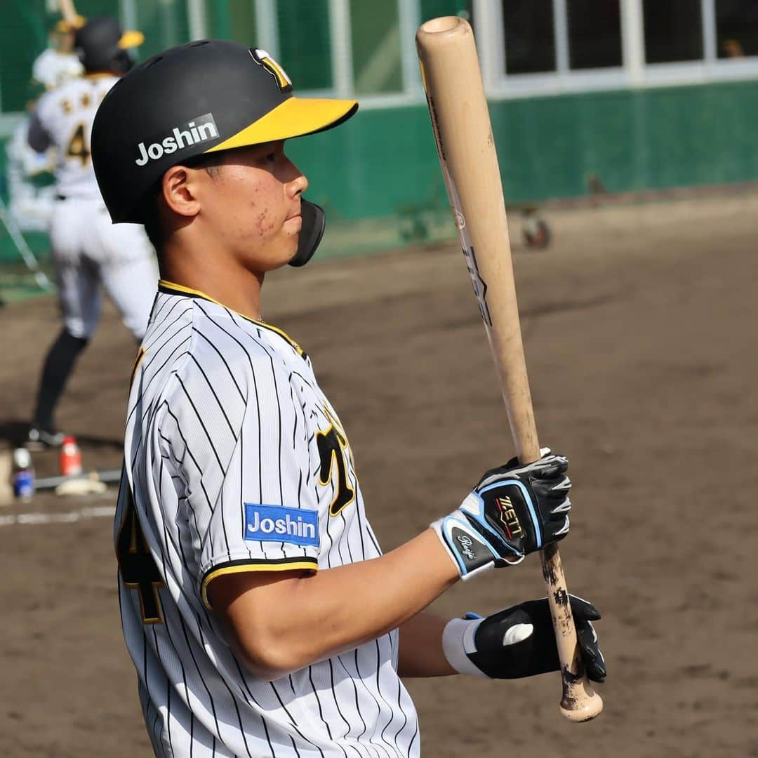 阪神タイガースさんのインスタグラム写真 - (阪神タイガースInstagram)「2月12日、宜野座村野球場での紅白戦の様子・白組編です！ #戸井零士 選手 #髙濱祐仁 選手 #井坪陽生 選手 #植田海 選手 #中野拓夢 選手 #榮枝裕貴 選手 #片山雄哉 選手 #遠藤成 選手 #藤田健斗 選手 #筒井壮 コーチ #阪神タイガース  #宜野座キャンプ #具志川キャンプ  #紅白戦 #白組  #ARE ★キャンプ中継は#虎テレ で！」2月12日 21時25分 - hanshintigers_official