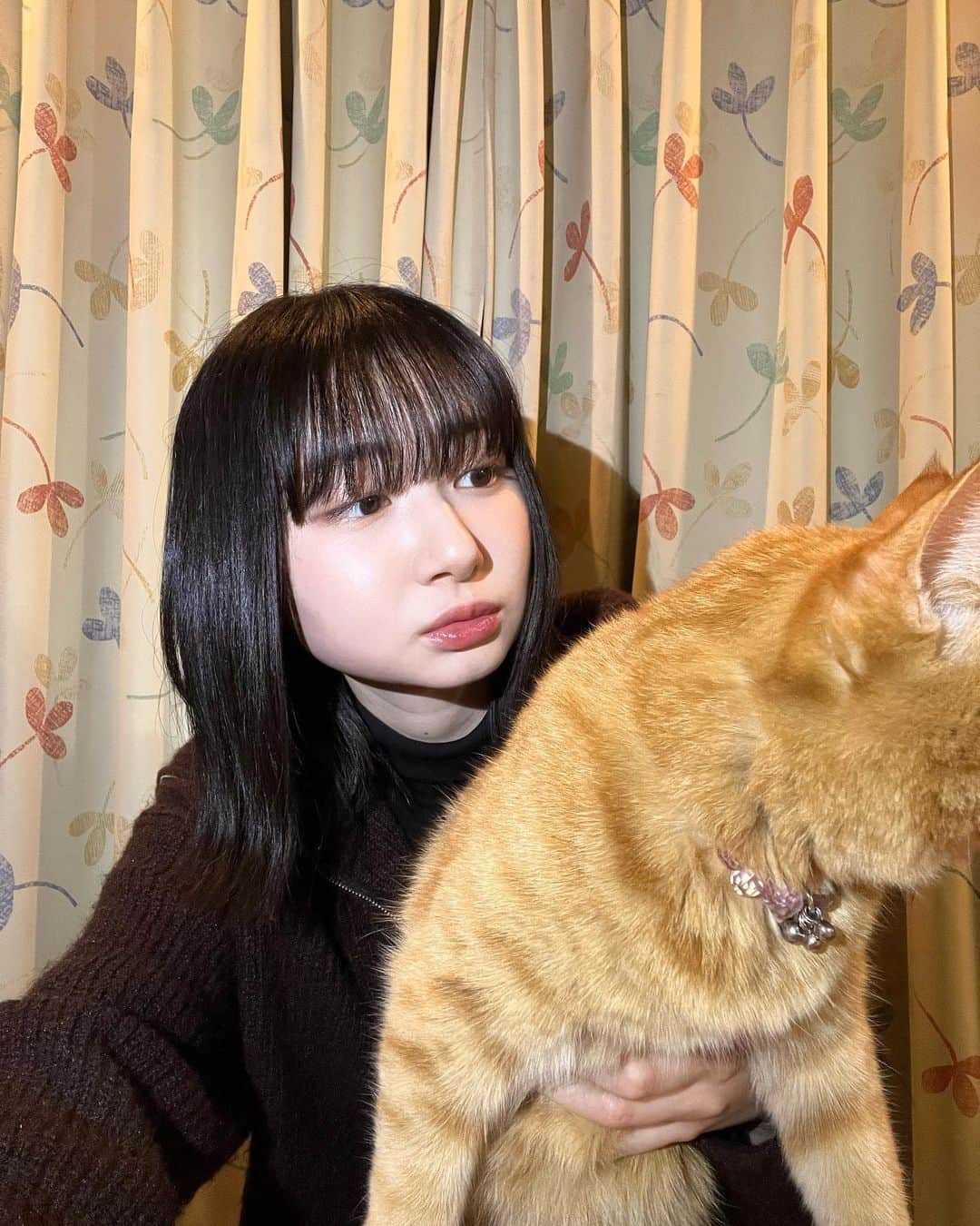 小室ゆらさんのインスタグラム写真 - (小室ゆらInstagram)「こっち見てくれない🥲笑 ⁡ ⁡ #cat #猫のいる生活 #茶トラ ⁡ ⁡ .」2月12日 22時01分 - komuro_yura_official