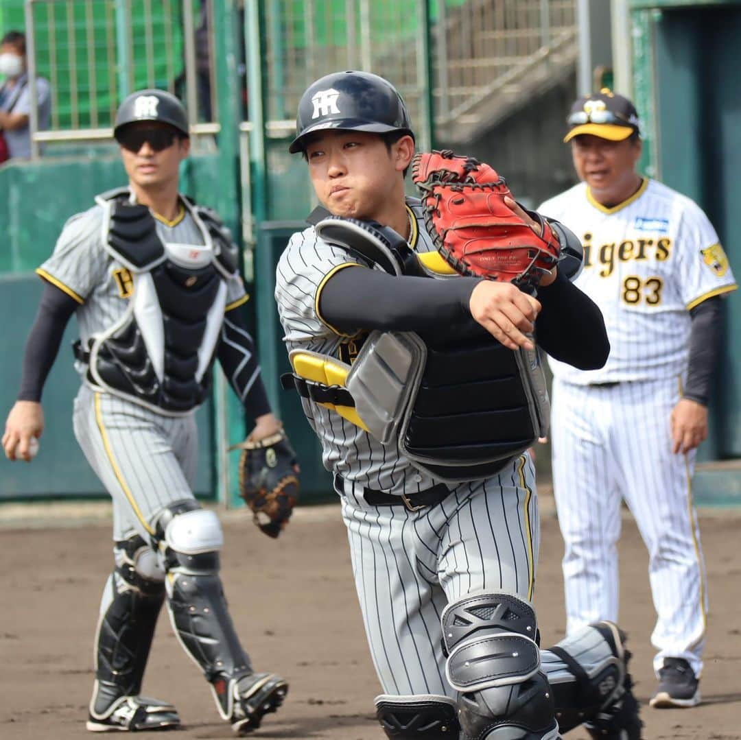 阪神タイガースさんのインスタグラム写真 - (阪神タイガースInstagram)「2月12日、宜野座村野球場での紅白戦の様子・紅組編です！ #大竹耕太郎 選手 #髙寺望夢 選手 #北條史也 選手 #中川勇斗 選手 #和田豊 ファーム監督 #工藤隆人 コーチ #山崎憲晴 コーチ #江草仁貴 コーチ #野村克則 コーチ #北川博敏 コーチ #糸原健斗 選手 #山本泰寛 選手 #井上広大 選手 #島田海吏 選手 #阪神タイガース  #宜野座キャンプ #具志川キャンプ  #紅白戦 #紅組  #ARE ★キャンプ中継は#虎テレ で！」2月12日 22時33分 - hanshintigers_official