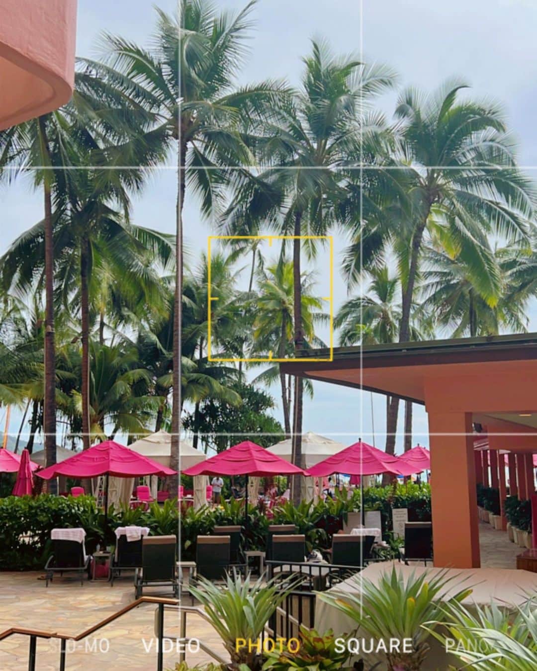 さゆりさんのインスタグラム写真 - (さゆりInstagram)「Royal Hawaiian のpool⛱💗  ピンクのパラソルが可愛すぎる♡♡♡  ヤシの木いっぱいの ハワイの街並みをみるだけで、 ほんっとーに癒された〜🌴✨  ______________________  昨日Instagram liveで聞かれたので インスタライブでよく聞かれる事 ここに、まとめておきます...🎤　  □まつげパーマ&まつ毛のワックス脱毛👀 @1106_____takeda さん♡  □LIP💄 @diorbeauty  フォーエバーリキッド820  □カラコン👁 revia の　pale mirage  #グラビア　#水着 #水着女子  #水着コーデ #グラビアモデル  #Hawaii #ハワイ　#ハワイ旅行  #hawaiilife #ハワイ土産  #ハワイグルメ #ハワイ生活  #ハワイライフ　#ハワイ情報   #ハワイ好きな人と繋がりたい  #ダイヤモンドヘッド #ワイキキ #ワイキキビーチ #ロイヤルハワイアンホテル #ロイヤルハワイアン #アラモアナ　#アラモアナショッピングセンター  #アラモアナビーチ」2月13日 19時05分 - sayuri__offi