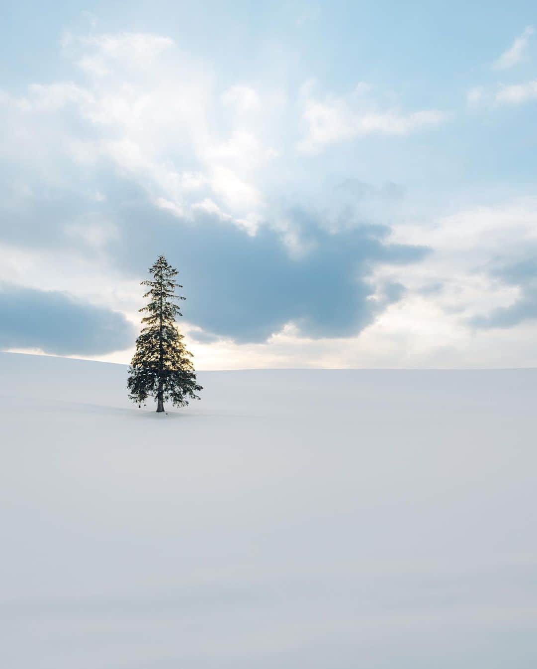 兒玉遥さんのインスタグラム写真 - (兒玉遥Instagram)「ずっと行って見たかった場所。  北海道上川郡美瑛町にあるクリスマスツリーの木🌲  北海道の行きたい場所沢山あるけど、広過ぎで1日じゃ足りませんね😉  1ヶ月くらい滞在して全制覇したい。 あ、サウナとグルメ旅も追加で。 私の夢。笑  photographer @sugimasa4 director @r.stagram1」2月14日 10時37分 - haruka_kodama919