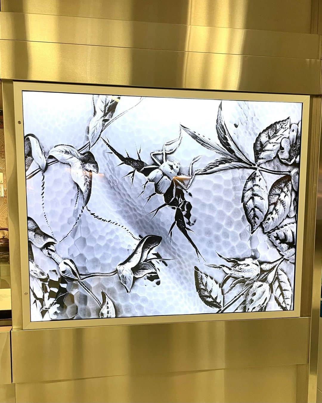 村主章枝さんのインスタグラム写真 - (村主章枝Instagram)「A very beautiful exhibit was happening at the San Francisco airport. I'm so happy to see that my country culture is introduce in USA.  サンフランシスコ空港でとても美しい展示が行われていました。 私の国の文化がアメリカで紹介されているのは、とても嬉しいです！ #japaneseculture  #exhibit  #sanfranciscoairport  #サンフランシスコ空港」2月14日 14時41分 - fumie.suguri