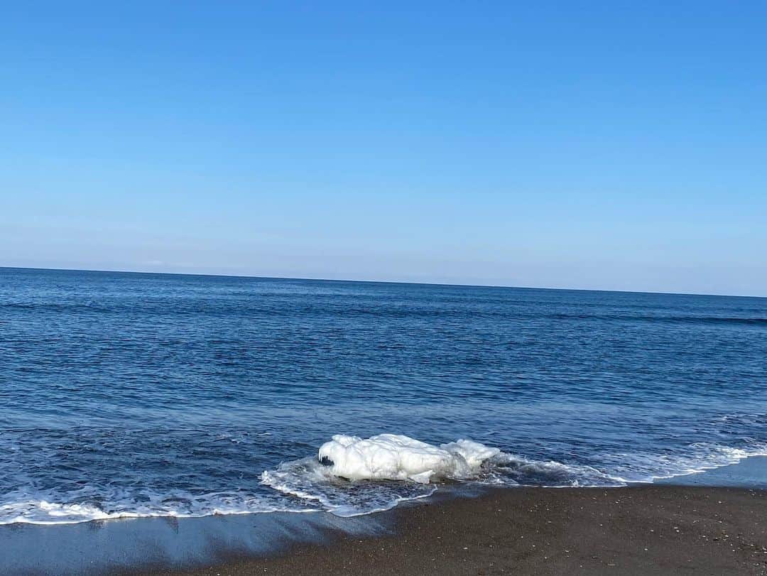 國本未華さんのインスタグラム写真 - (國本未華Instagram)「クリオネ調査隊。 こんな格好で北浜海岸へも行ってみた。（きのう） 天気は良いけど波が高くなったのですぐ撤退🥲 安全第一。  クリオネはみな、まさに荒波に揉まれながらもたくましく生きているのである、と思いをはせた日。  #オホーツク海 #クリオネ #北浜海岸 #流氷」2月14日 17時50分 - kunimoto_mika