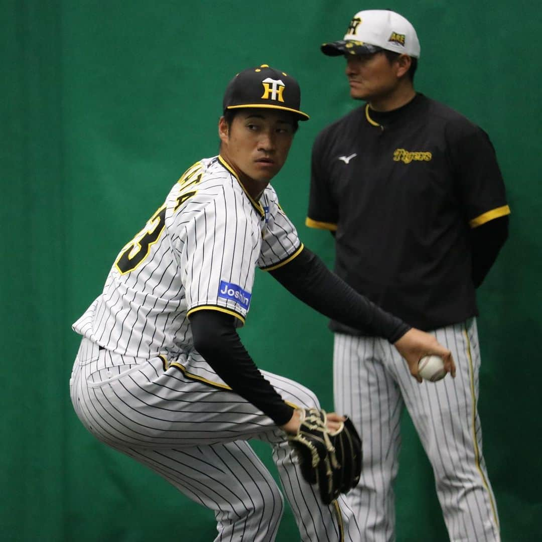 阪神タイガースさんのインスタグラム写真 - (阪神タイガースInstagram)「2月14日、宜野座村野球場での春季キャンプの様子・投手編です！ #桐敷拓馬 選手 #島本浩也 選手 #岩田将貴 選手 #岩崎優 選手 #大竹耕太郎 選手 #ジェレミービーズリー 選手 #ブライアンケラー 選手 #湯浅京己 選手 #伊藤将司 選手 #岩貞祐太 選手 #阪神タイガース  #宜野座キャンプ #宜野座村  #ARE ★キャンプ中継は#虎テレ で！」2月14日 18時52分 - hanshintigers_official