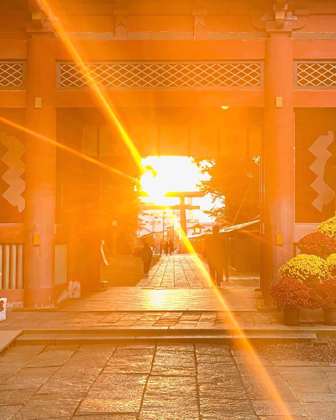 SHOCK EYEさんのインスタグラム写真 - (SHOCK EYEInstagram)「始まりの地、鹿島神宮、、  あの日、強く鮮やかに差し込んだオレンジ色の夕陽が、僕の心の中に今もまだ鮮明に残ってる。  鹿島神宮と高千穂を結ぶ直線上には、伊勢神宮、富士山、明治神宮、そして皇居が並ぶ。  夏至の日に太陽がこの鳥居から西に進むことから、この直線のことをレイライン（光の道）と呼ぶんだけど、その入口にあたる鹿島神宮は、「すべての始まりの地」と呼ばれているんだ。  古代の人々は、世界的にも、太陽の位置、星の位置、月の位置、大きな山の位置などをとても大切にしていて、そのレイライン上に重要な建造物やその標になるようなものを建てたりしていたんだよね。  しかもそれに加えて、日本をまたぐ地盤のプレートとプレートの繋ぎ目、中央構造線もこの鹿島から高千穂まで走ってるらしい。  ただものじゃないよね、、この土地は😳✨  特別な場所だからこそ、紀元前660年からこの場所に在り続けられるわけだよね✨  素晴らしい。  近々またご挨拶に行こうと思う🙏  #鹿島神宮 #東国三社 #kashimajingu #shrine #中央構造線 #レイライン #japantravel #japantrip #canon #canonR5 #beautifuldestinations #discoverjapan #discoverearth #voyaged #awesome_photographers #IamATraveler #wonderful_places #japanphoto #japanphotography #japan_of_insta #livingonearth #theglobewanderer」2月15日 14時31分 - shockeye_official