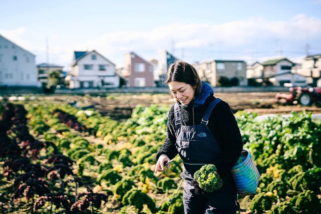 加藤紀子さんのインスタグラム写真 - (加藤紀子Instagram)「大好きな人が 野菜に触れたいと畑に。  分からないから適当にじゃなく、「ネギはどう抜くの？」「ルッコラはどう採るの？」 一つひとつ丁寧に、かつ楽しんでくれて、お迎えして良かった☺️。  風も強くどんどん冷えてくる畑の中で心がホクホクした昨日。　@etokiyoko ちゃんありがとう！ （zineの表紙写真もありがとね🙏）  #カトノリ農園」2月15日 16時38分 - katonoriko