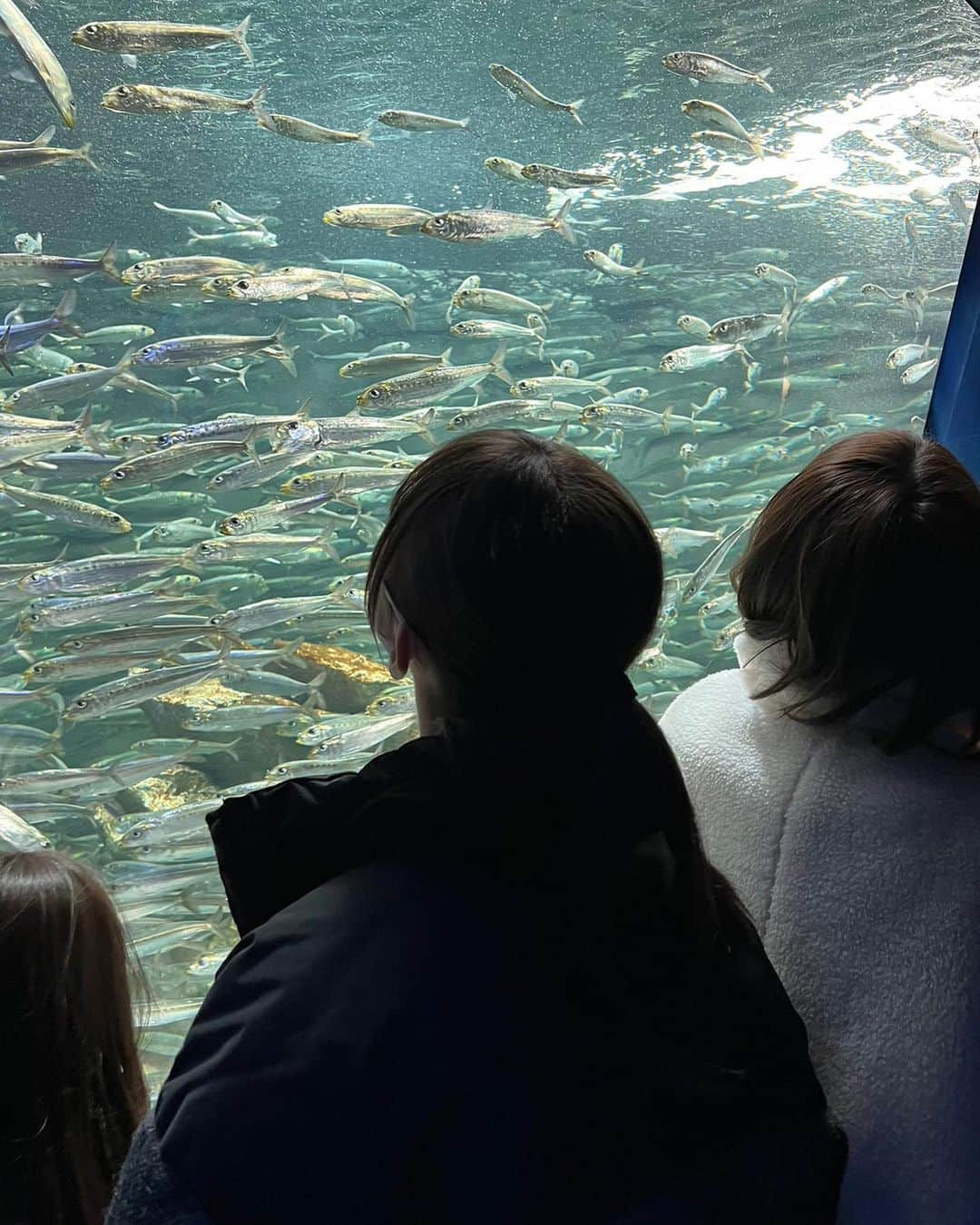 神谷侑理愛さんのインスタグラム写真 - (神谷侑理愛Instagram)「お魚沢山°･🐠かわいい🫂 ⁡ サンシャイン水族館行った時の🐳💕 ⁡ でも水族館とアクアリウムって何が違うのー？？ ⁡ ⁡ #サンシャイン水族館 #池袋 #水族館 #アクアリウム #ポニーテール #ヘアアレンジ #ミディアム」2月15日 22時45分 - yuria_kamiya