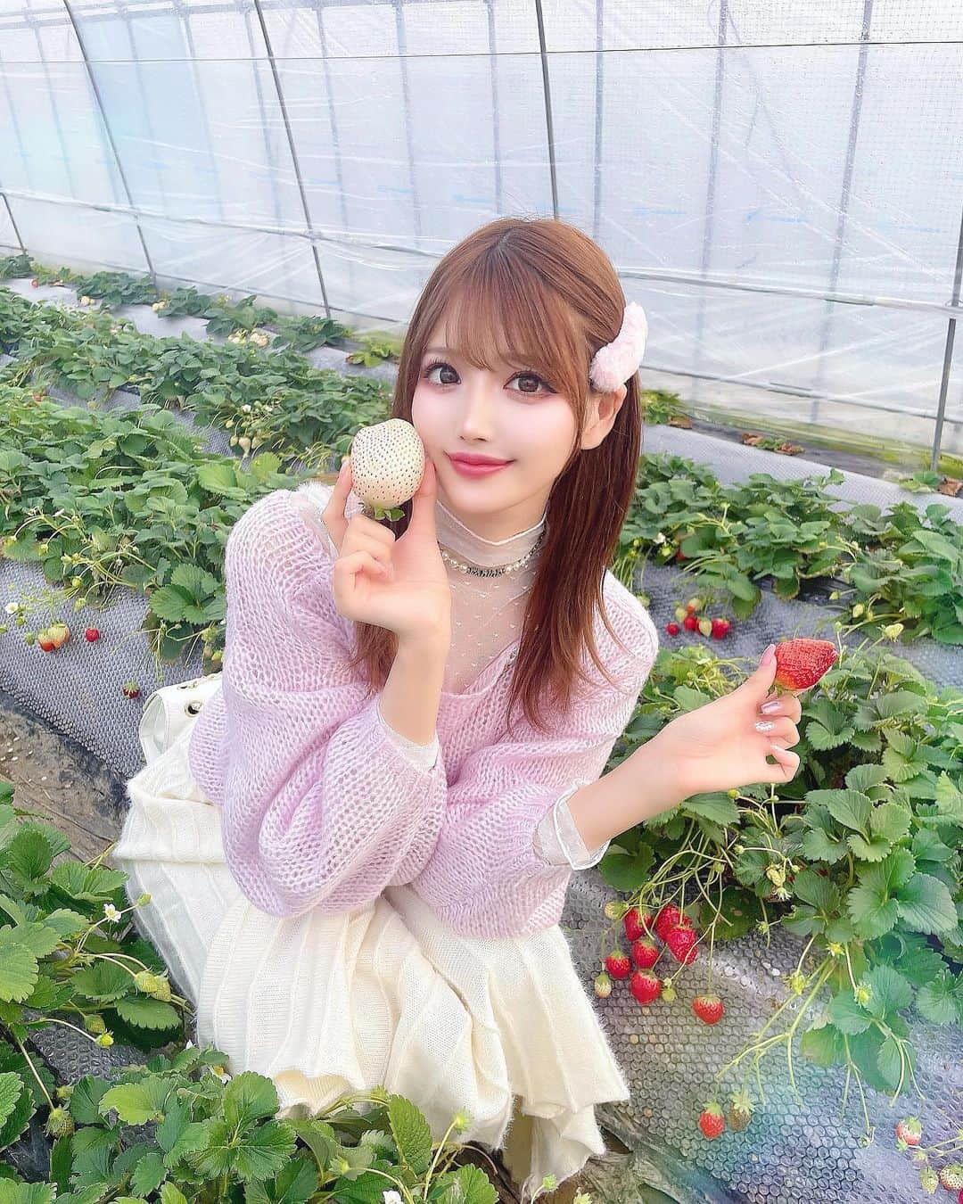 桜咲乃愛さんのインスタグラム写真 - (桜咲乃愛Instagram)「いちご狩り🍓  ミルキーベリーととちおとめ💕 白い苺甘くて美味しかった〜🥰   いちご狩り来ると大きいいちご探したくなる🍓🤍✨  赤い苺はあまおう派🥹💕  皆がいっぱい写真撮ってくれて優しい世界🪄︎︎◝✩🫧  #いちご狩り #苺狩り#いちご#ミルキーベリー#白いちご#白い苺#とちおとめ#いちご狩りコーデ」2月16日 17時57分 - noasama1101