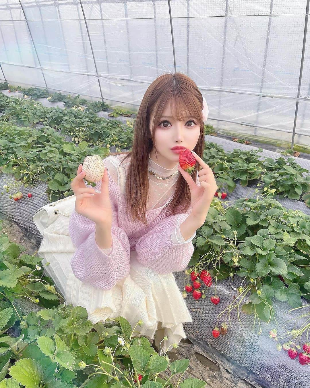 桜咲乃愛さんのインスタグラム写真 - (桜咲乃愛Instagram)「いちご狩り🍓  ミルキーベリーととちおとめ💕 白い苺甘くて美味しかった〜🥰   いちご狩り来ると大きいいちご探したくなる🍓🤍✨  赤い苺はあまおう派🥹💕  皆がいっぱい写真撮ってくれて優しい世界🪄︎︎◝✩🫧  #いちご狩り #苺狩り#いちご#ミルキーベリー#白いちご#白い苺#とちおとめ#いちご狩りコーデ」2月16日 17時57分 - noasama1101