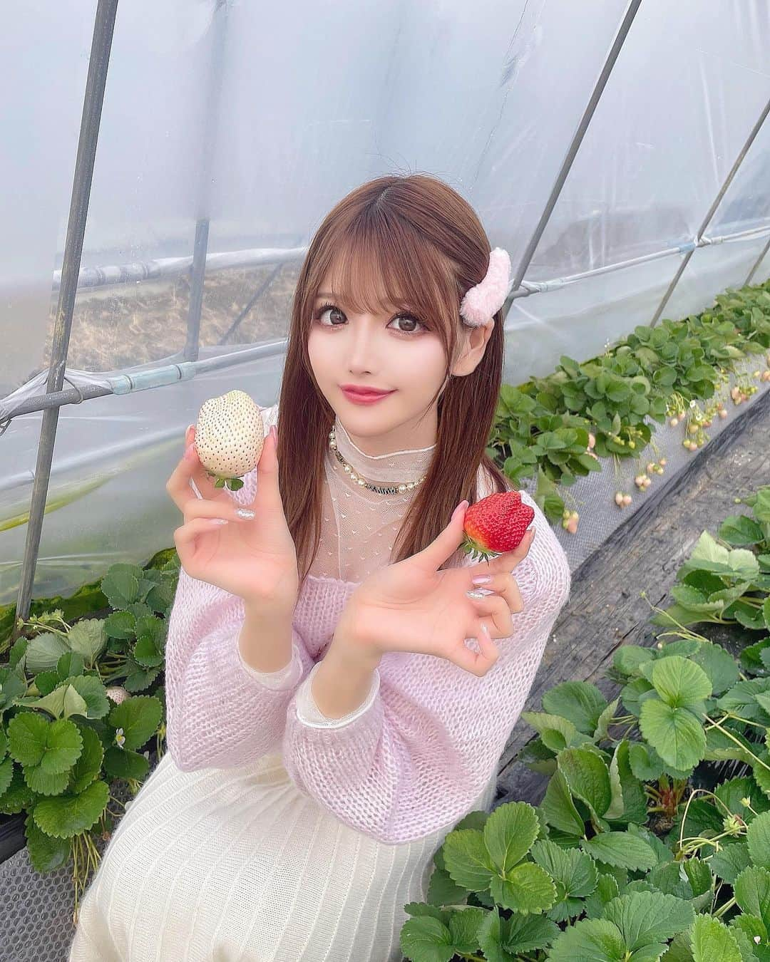 桜咲乃愛さんのインスタグラム写真 - (桜咲乃愛Instagram)「いちご狩り🍓  ミルキーベリーととちおとめ💕 白い苺甘くて美味しかった〜🥰   いちご狩り来ると大きいいちご探したくなる🍓🤍✨  赤い苺はあまおう派🥹💕  皆がいっぱい写真撮ってくれて優しい世界🪄︎︎◝✩🫧  #いちご狩り #苺狩り#いちご#ミルキーベリー#白いちご#白い苺#とちおとめ#いちご狩りコーデ」2月16日 17時57分 - noasama1101