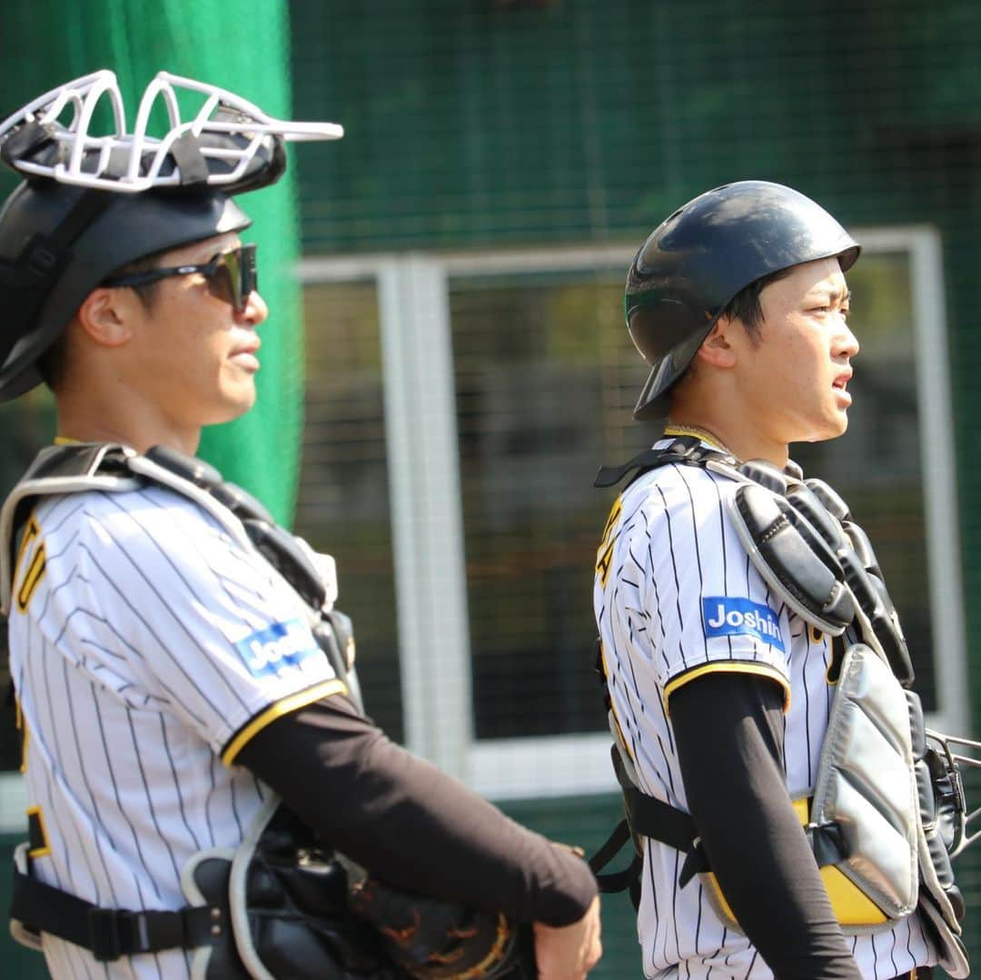 阪神タイガースさんのインスタグラム写真 - (阪神タイガースInstagram)「2月16日、宜野座村野球場での春季キャンプの様子・野手編です！ #渡邉諒 選手 #髙山俊 選手 #森下翔太 選手 #小幡竜平 選手 #坂本誠志郎 選手 #中川勇斗 選手 #藤田健斗 選手 #梅野隆太郎 選手 #板山祐太郎 選手 #近本光司 選手 #佐藤輝明 選手 #阪神タイガース  #宜野座キャンプ  #ARE ★キャンプ中継は#虎テレ で！」2月16日 22時02分 - hanshintigers_official